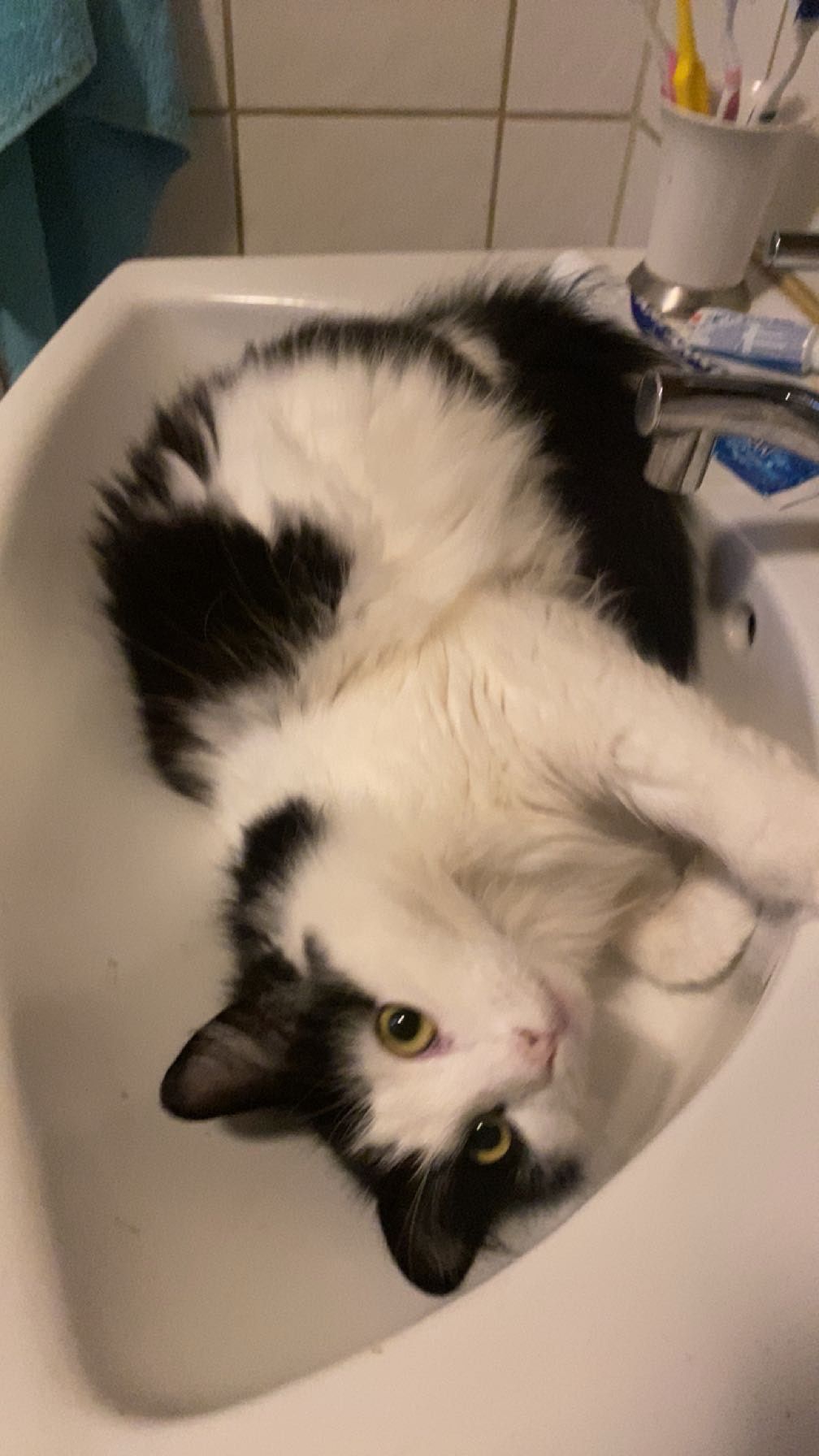 Puffi - Mcdrive, Levél