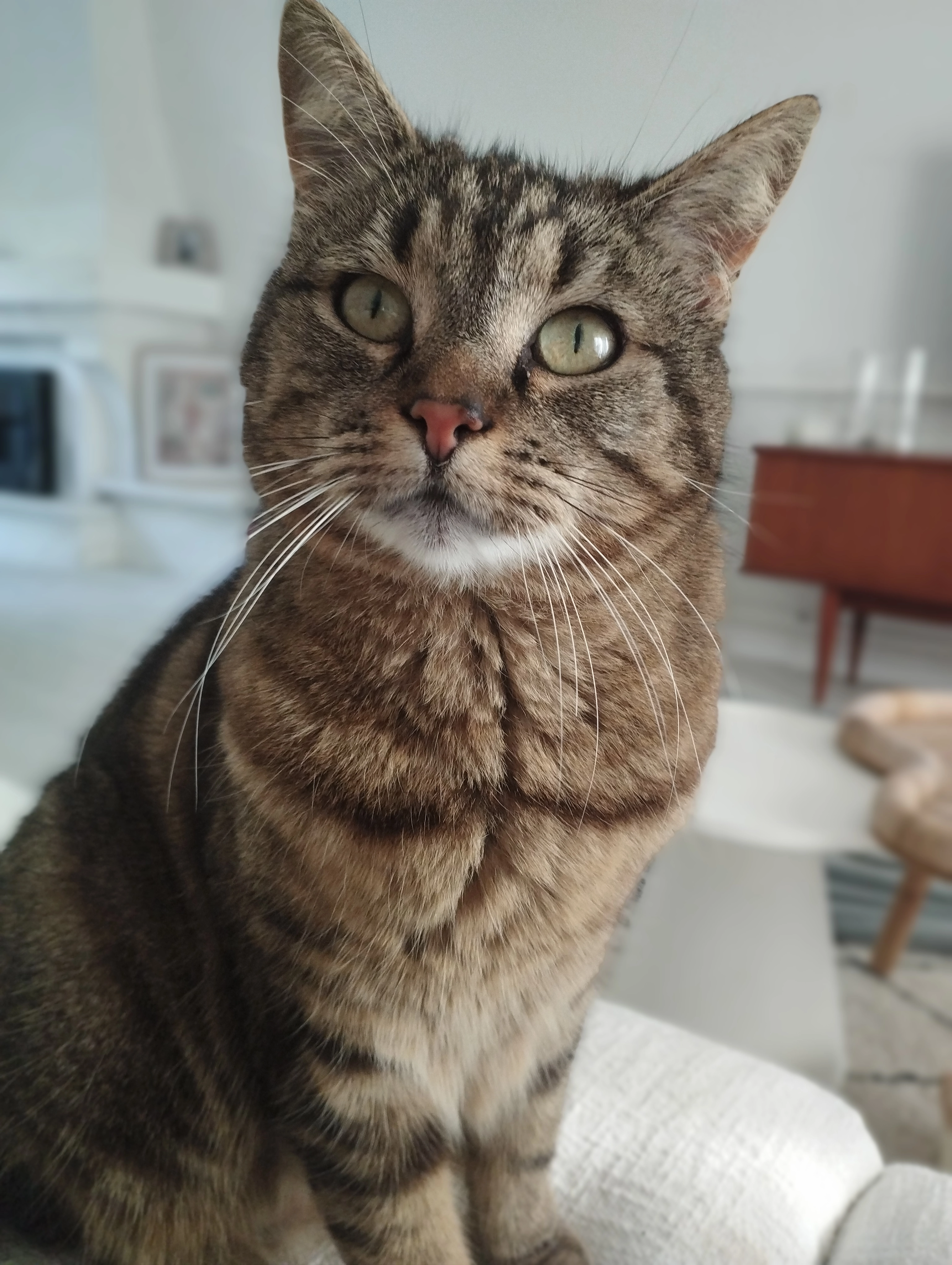 Princesse  - 2 Chemin du Poirin, Orée-d'Anjou