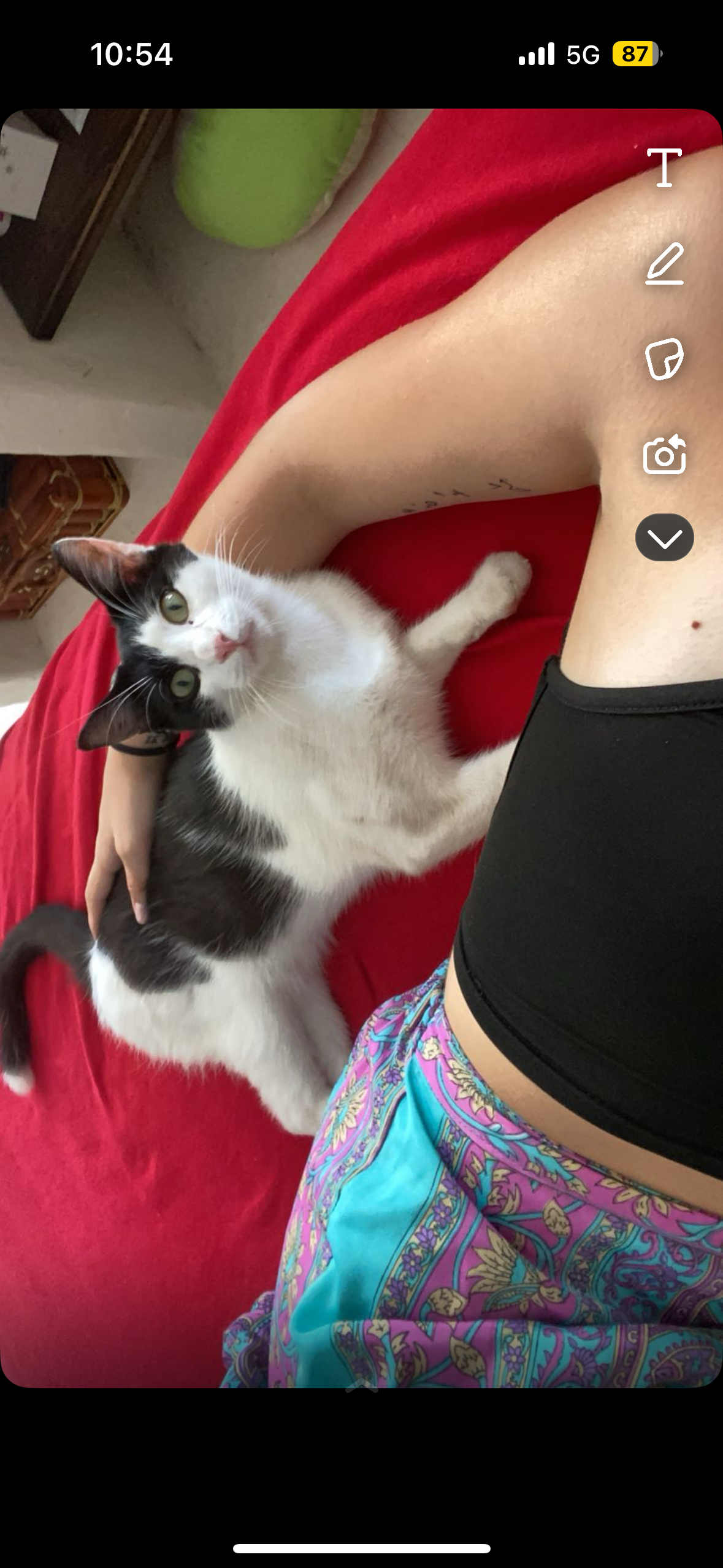 charlie - Avenue du Maréchal de Lattre de Tassigny, Mirecourt