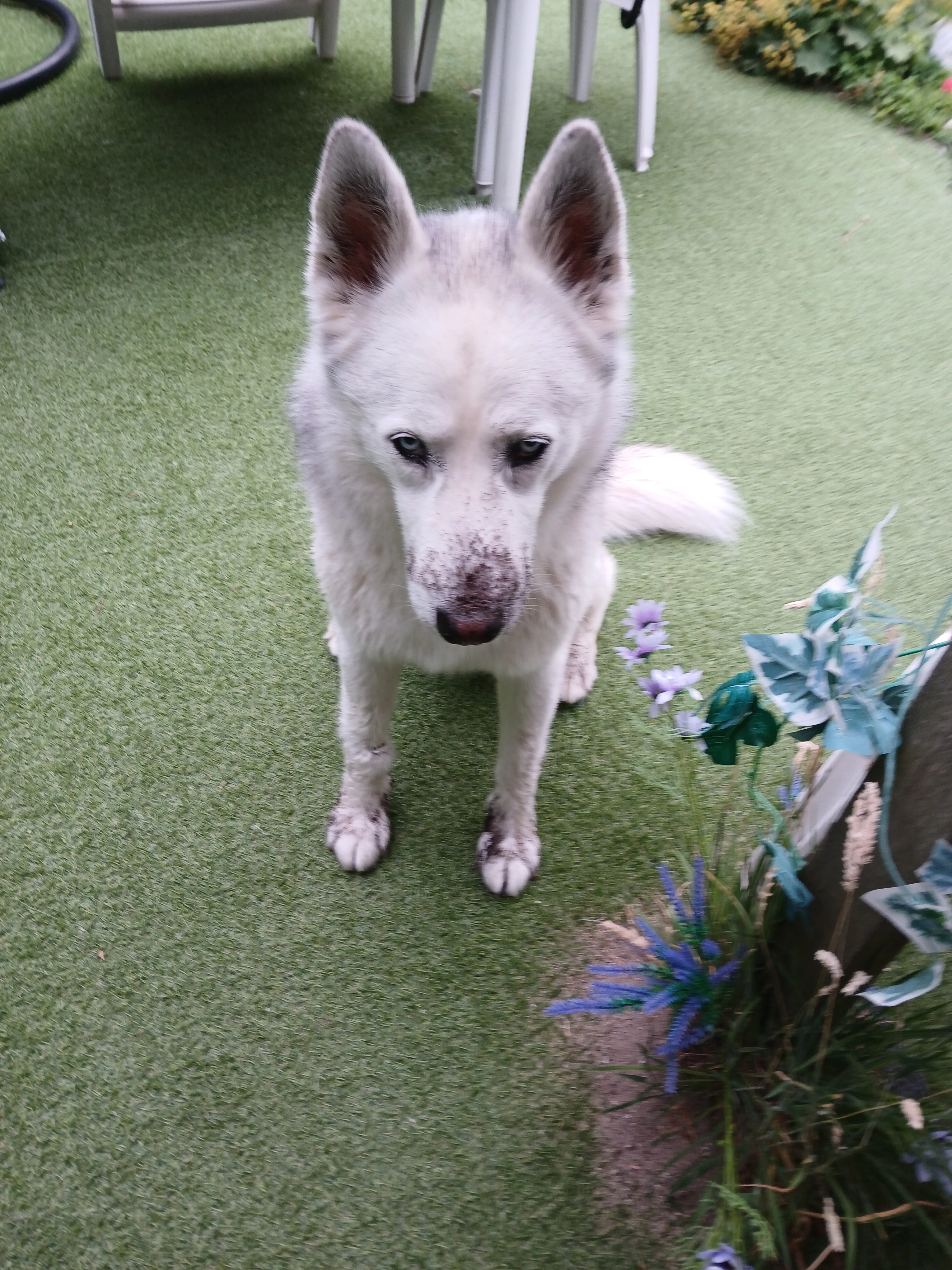 Yukon  - Kraaierslaan, Zuid-Holland