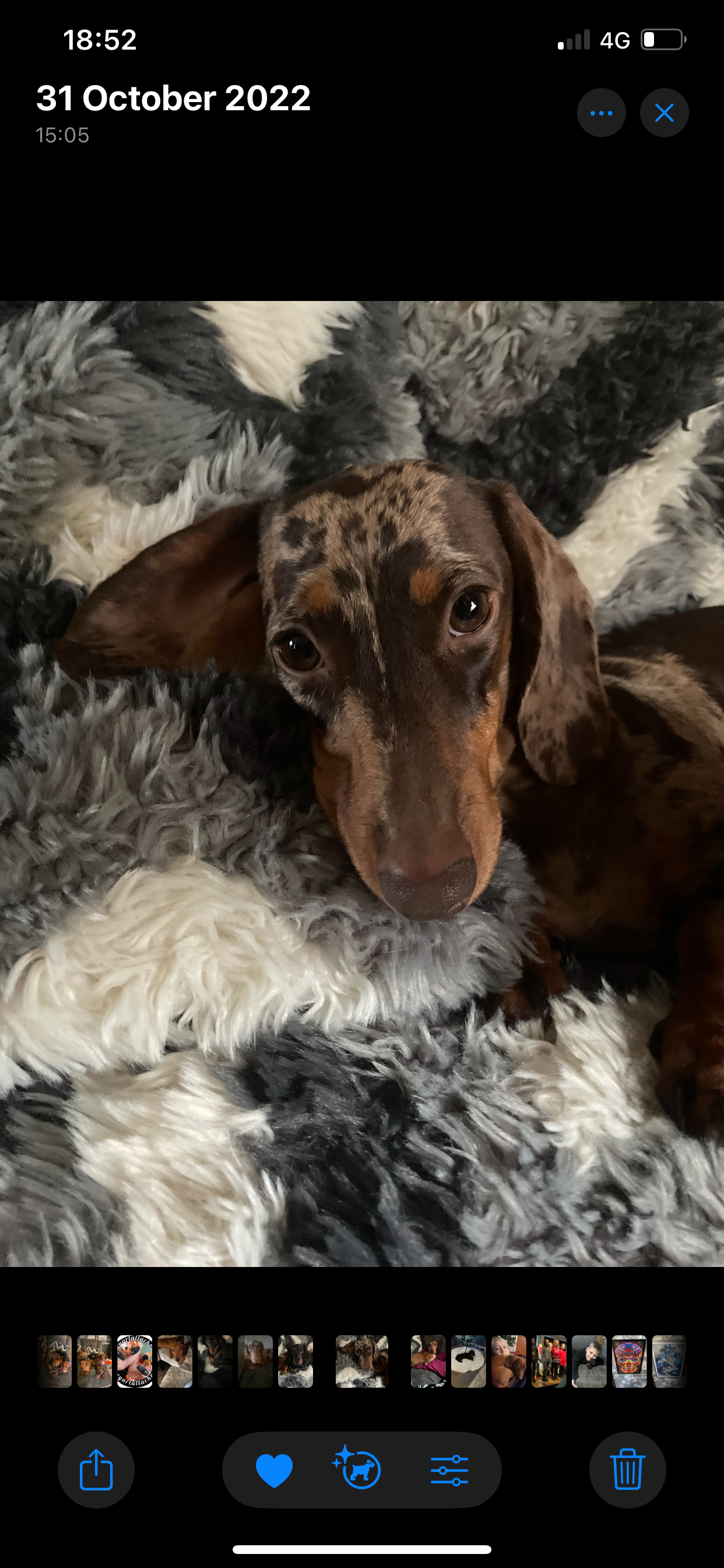 Lila Mae - Goronwy Road, Swansea