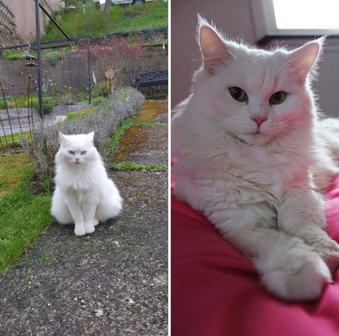 Lucy - Hohe Gasse, Wildberg