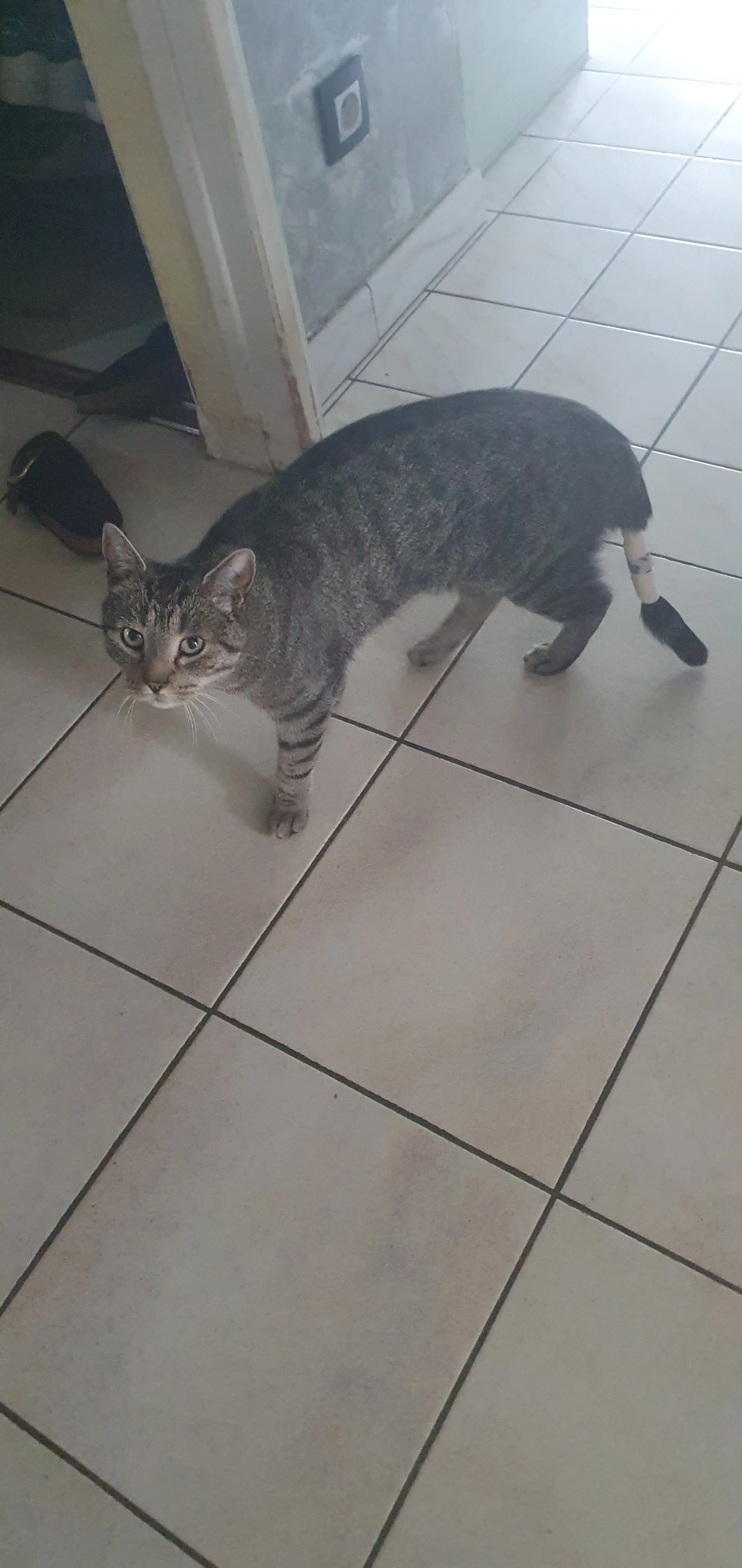 Nino - Avenue de Lonnaz, Allinges