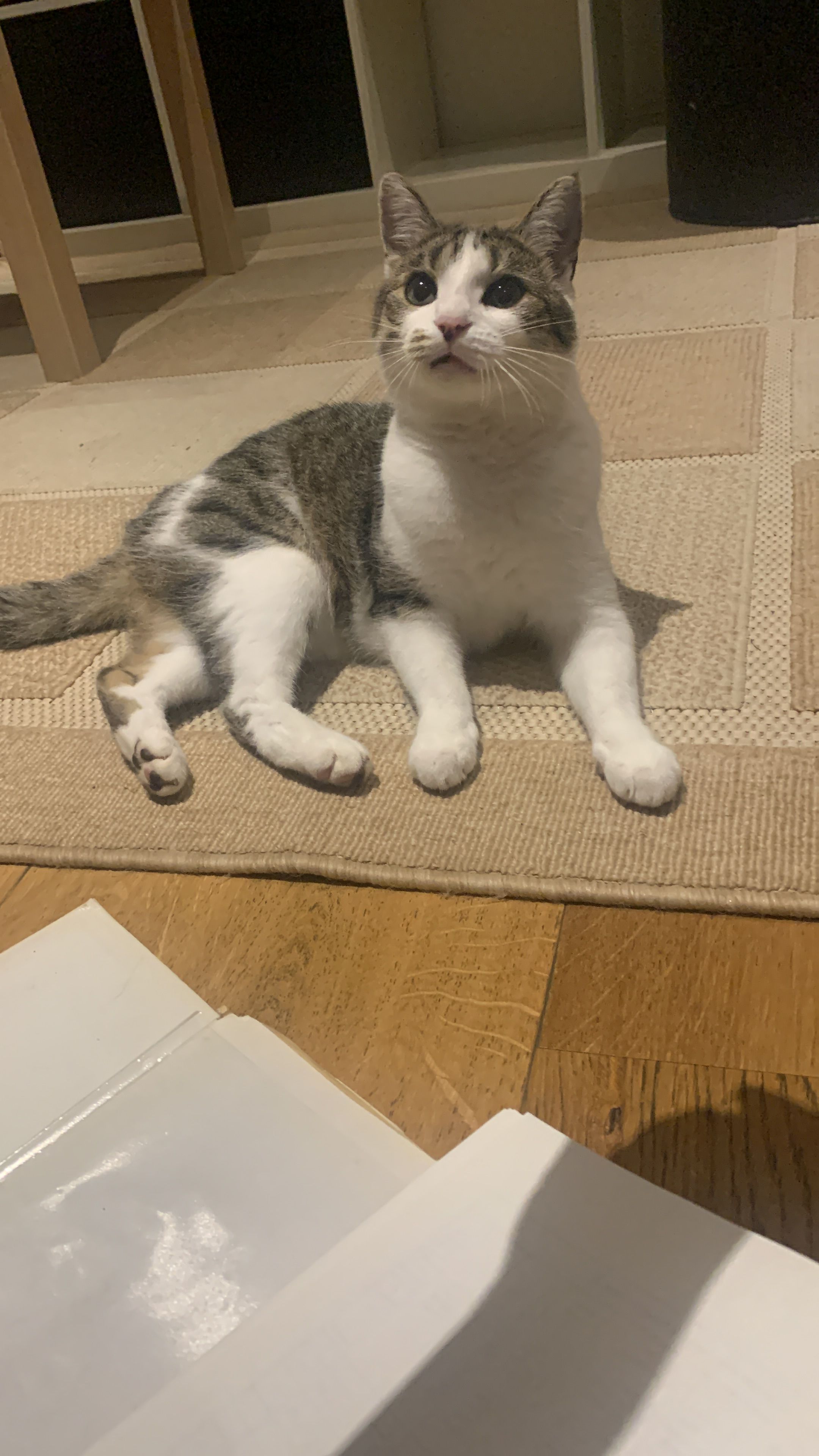 Fiona - Am Liebenbach, Spangenberg