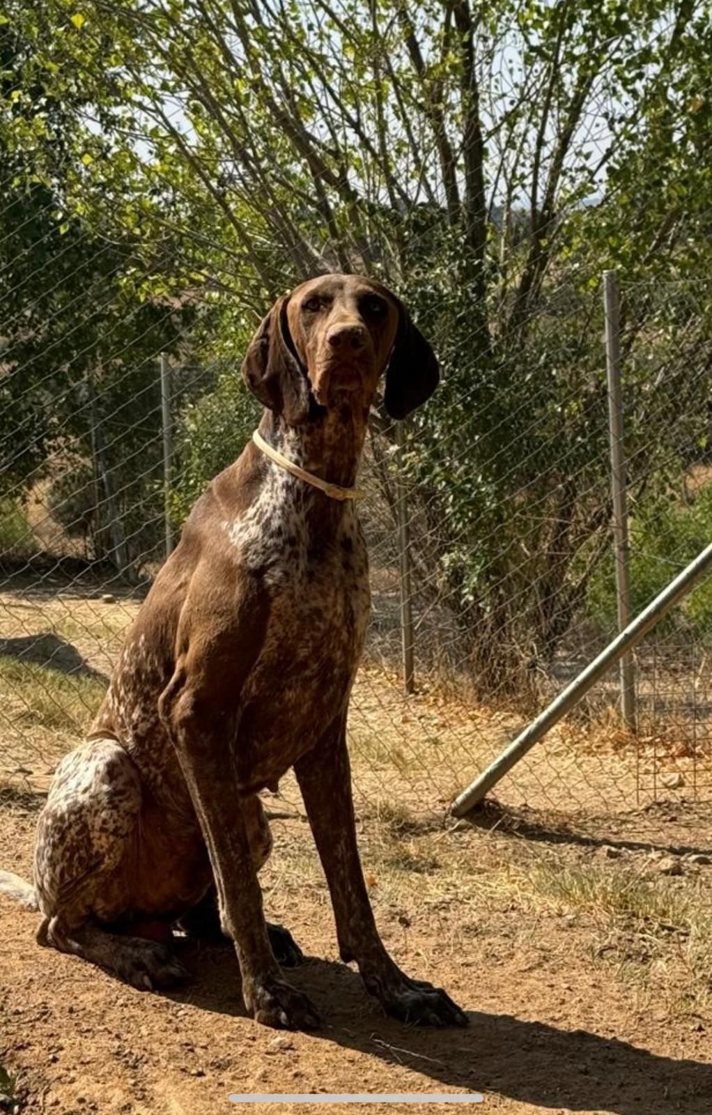 NIL - Camino de Torres de la Alameda, Torres de la Alameda