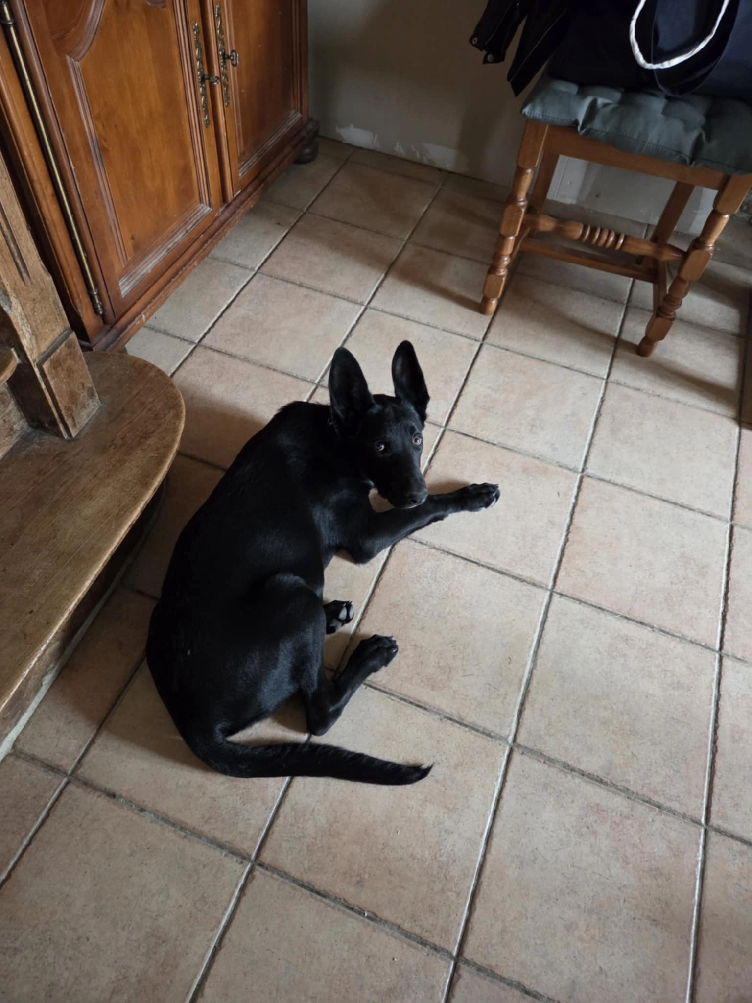 Athos  - 1 Route du Mesnil Gonfroy, Hambye