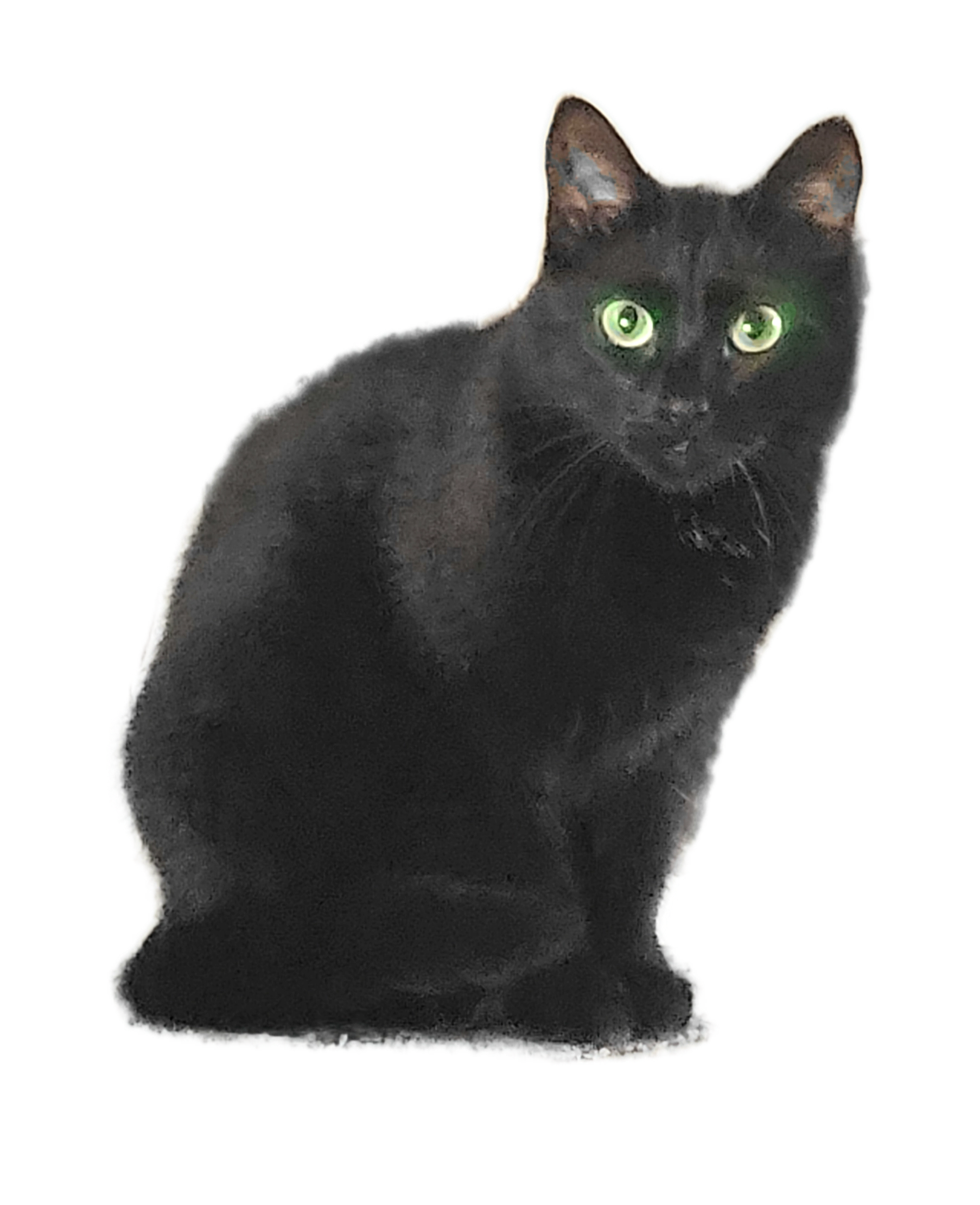 Amy - Mittelfeldstraße, Augsburg