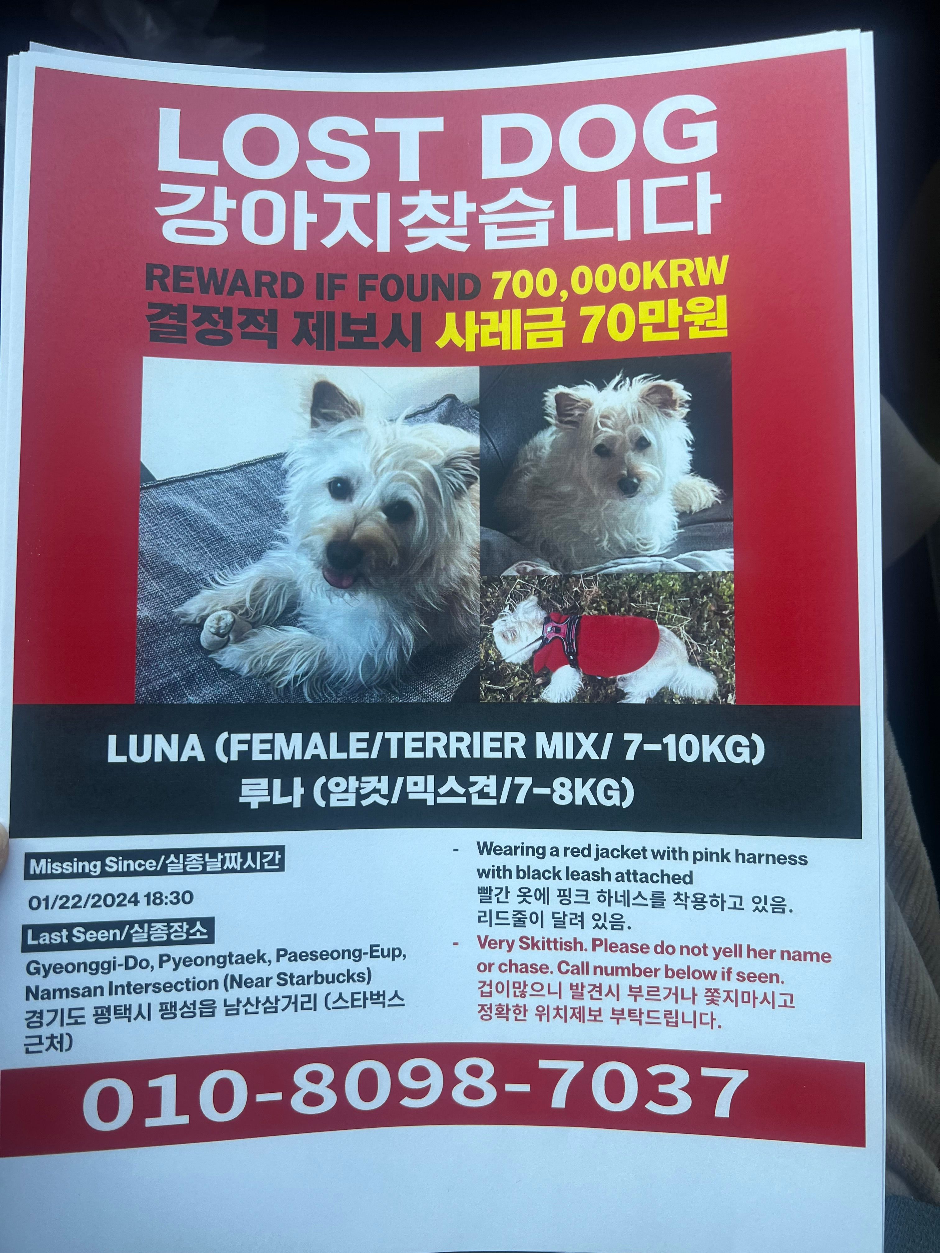 Luna - 팽성송화로, Pyeongtaek