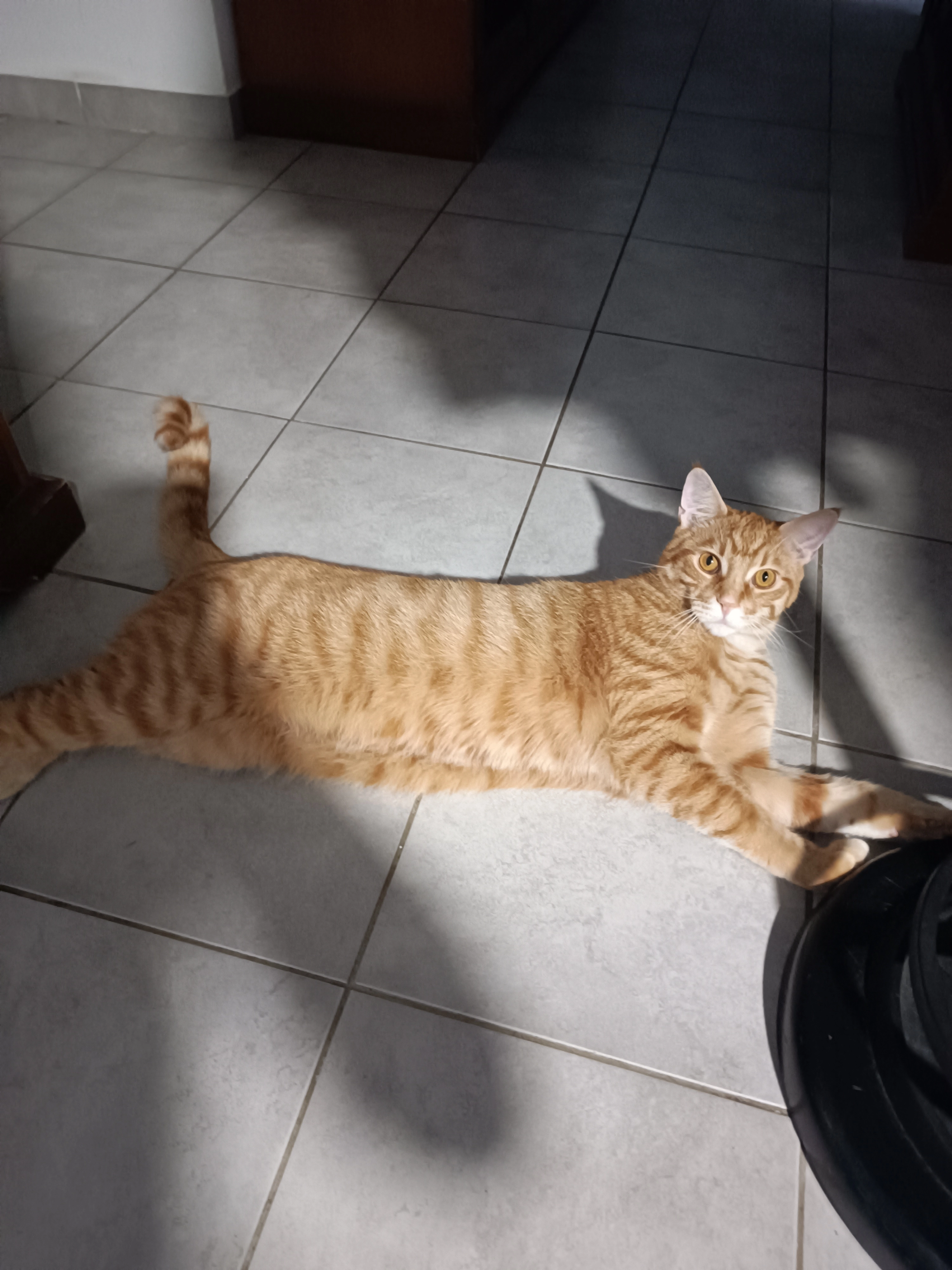 Châtaigne - Rue des Petits Champs, Château-Thierry