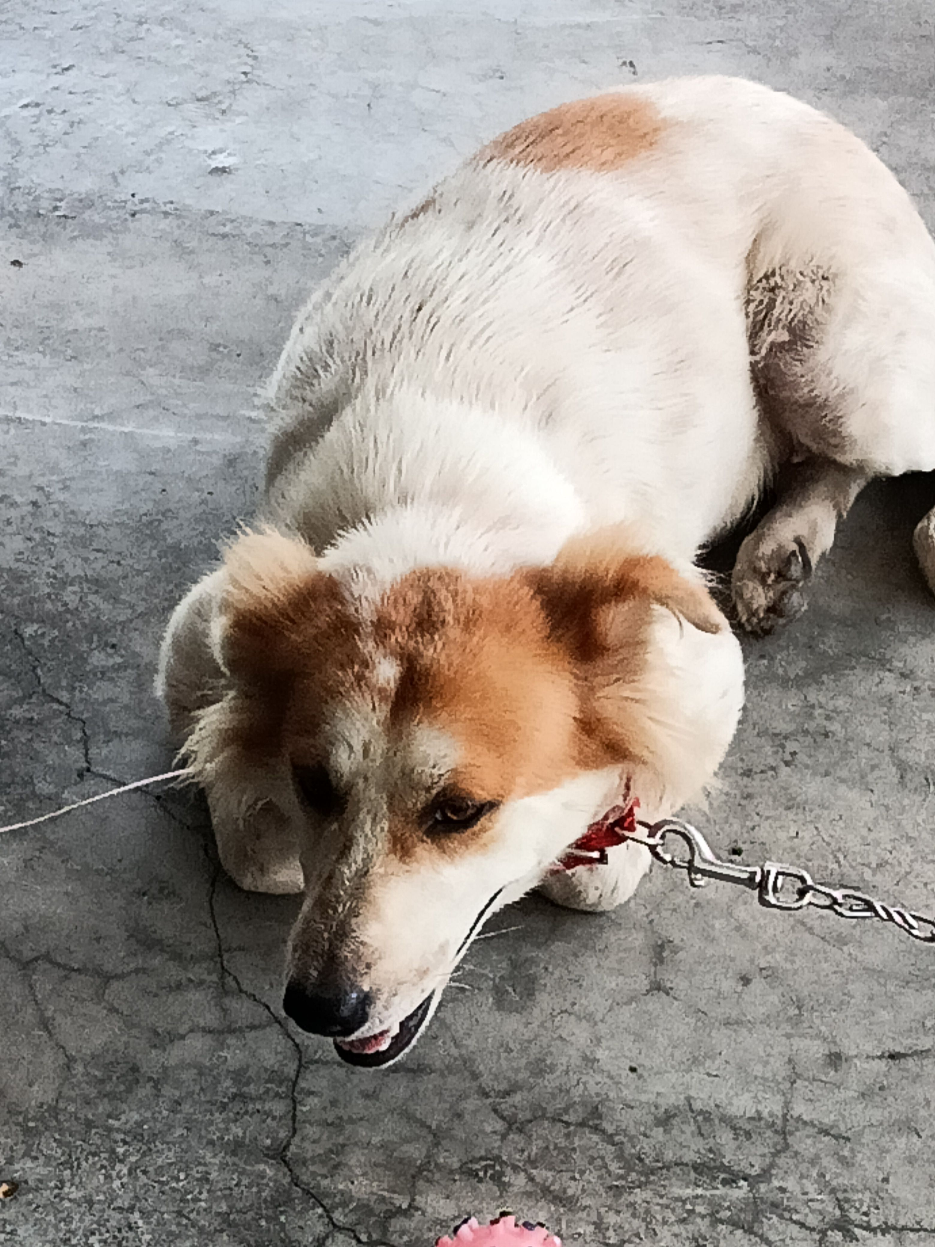 Nini - 08000, Sungai Petani