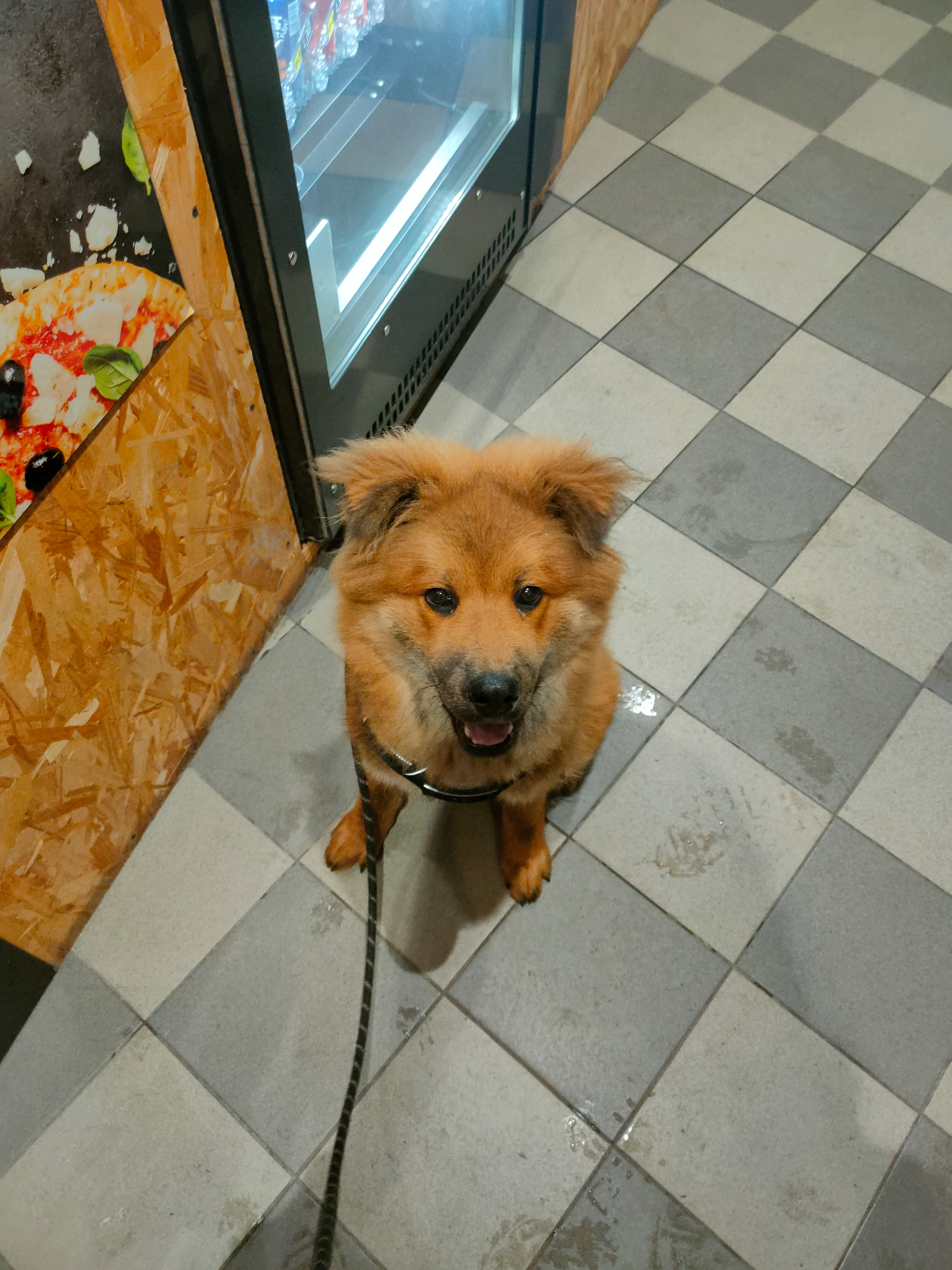 Vanille  - Rue Jeanne D'arc, Rouen