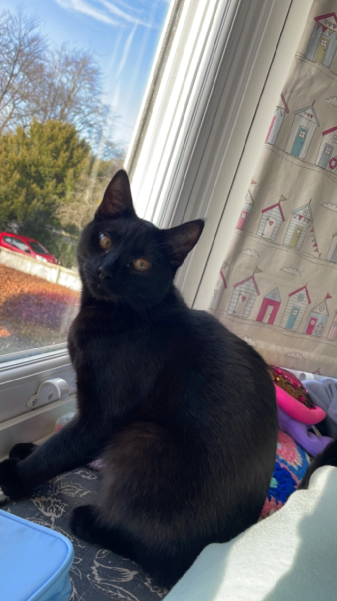 Onyx - Hughenden Road, High Wycombe