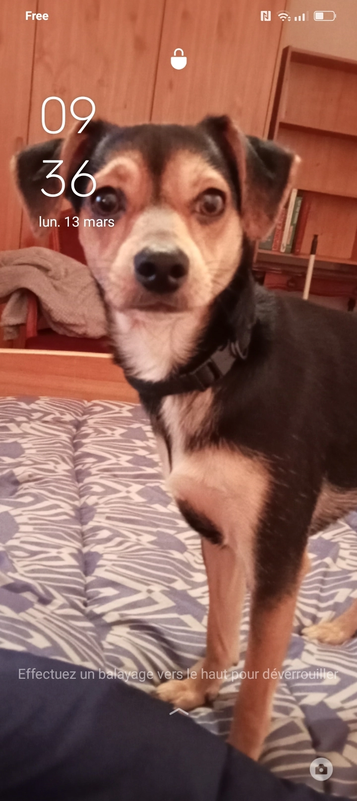 TOBBY  - Avenue Du Colonel Fabien, Lanester