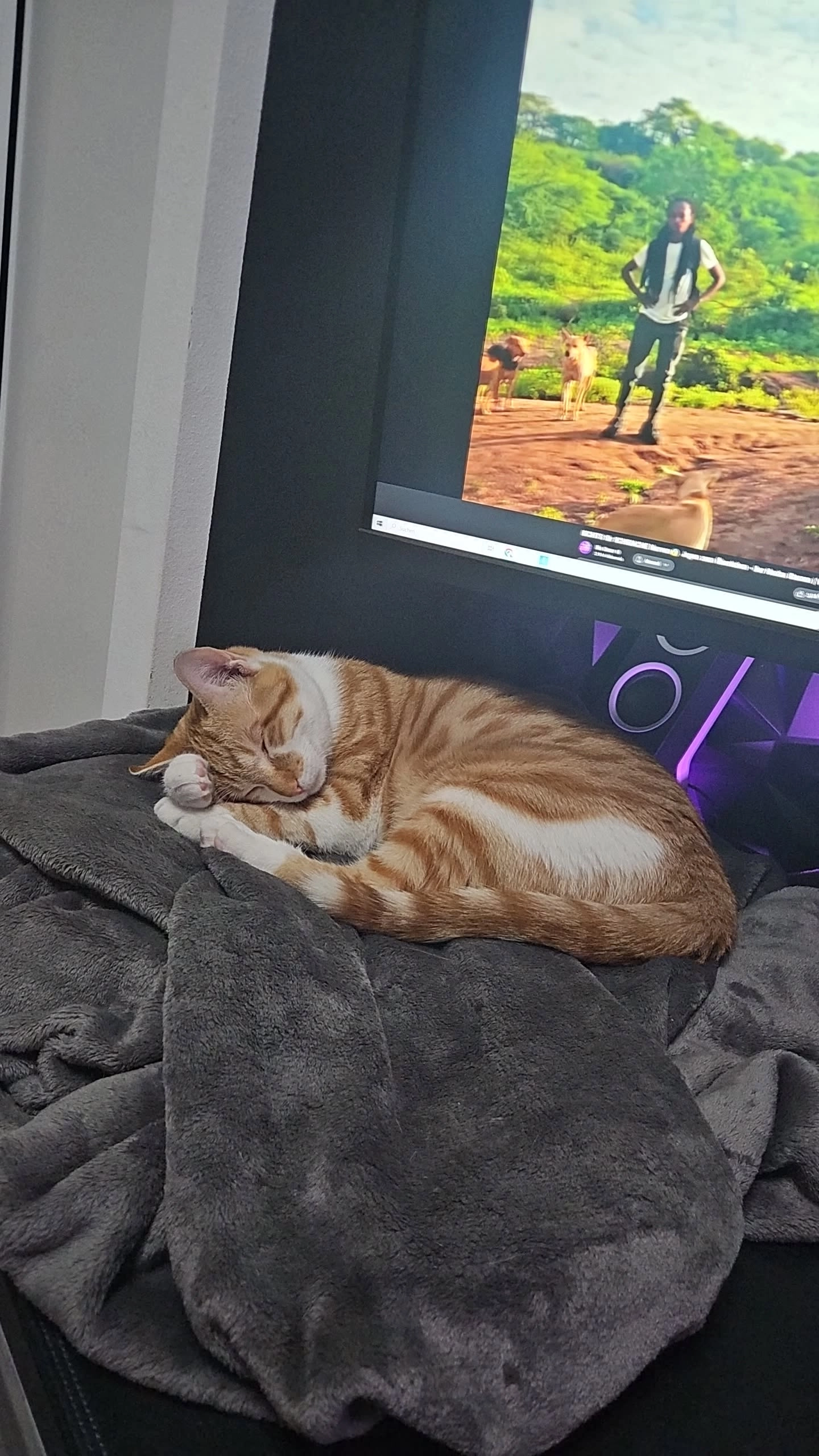 Buddy - D 326, Audun-le-Tiche