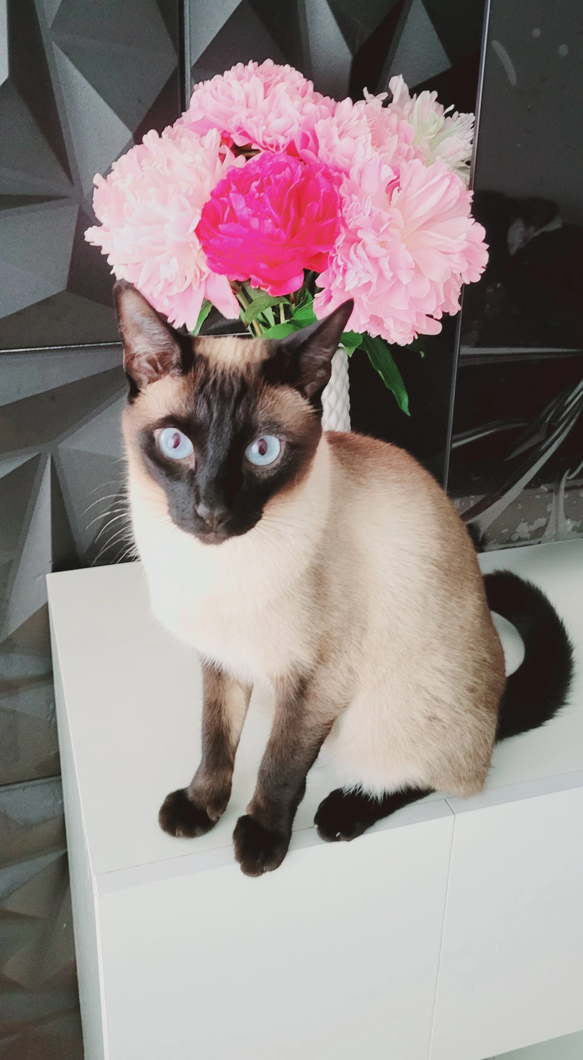 Tiger  - Geßlerstraße, Dortmund