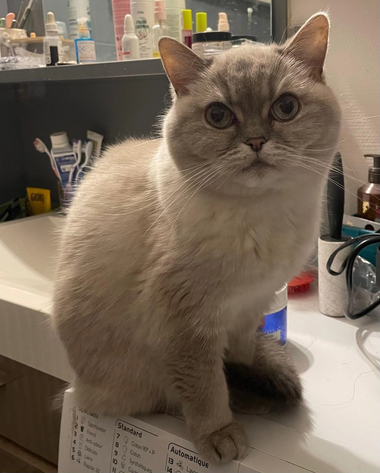 Vany - Route de Bischwiller, Schiltigheim