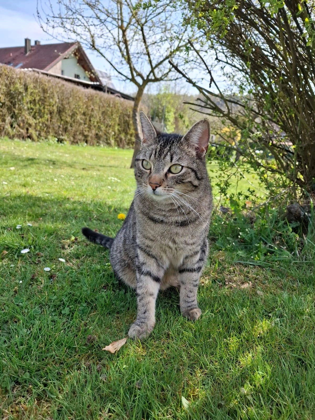 Franz - Oberschleichach, Oberaurach