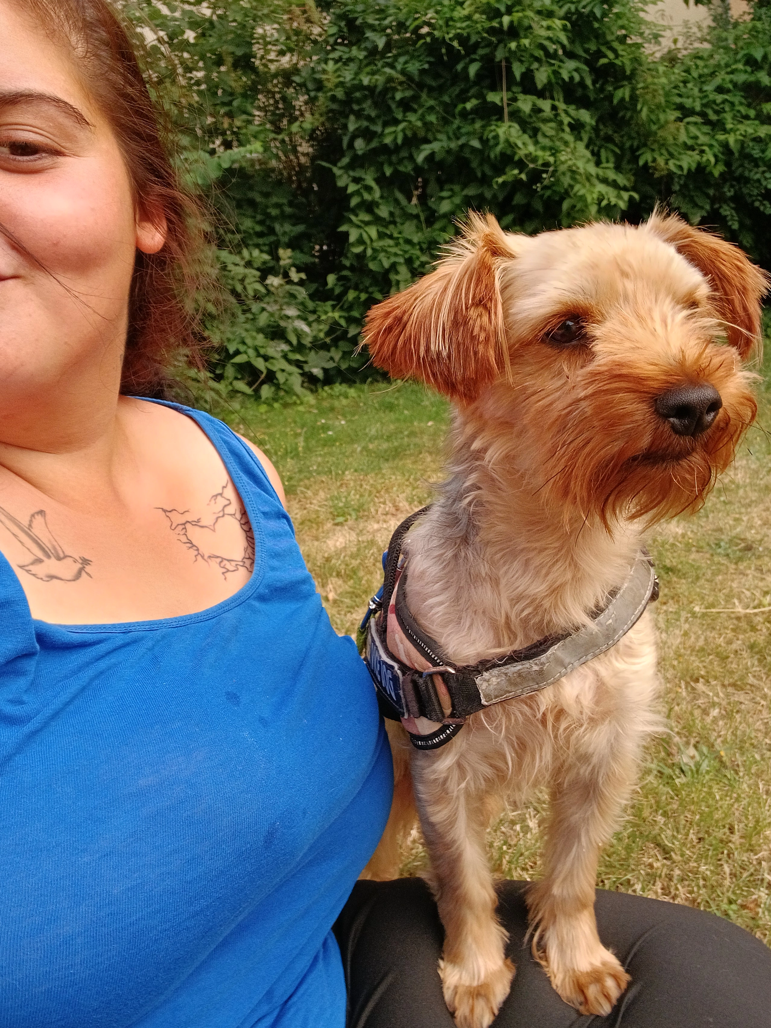 Back - Wiesenerstraße, Berlin