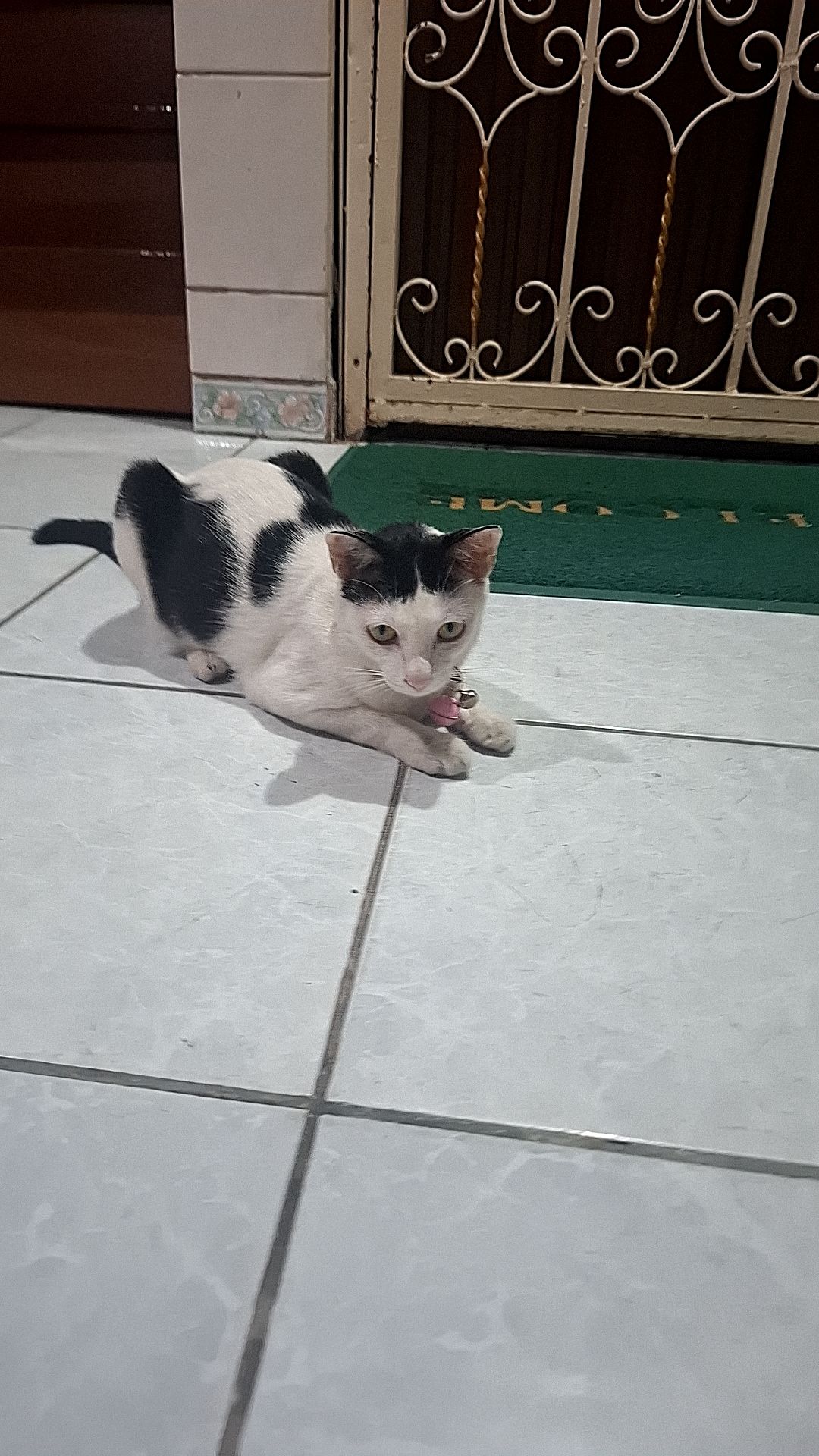 ไข่มุก - ซอยอยู่เจริญ-ขวัญพัฒนา, Bangkok