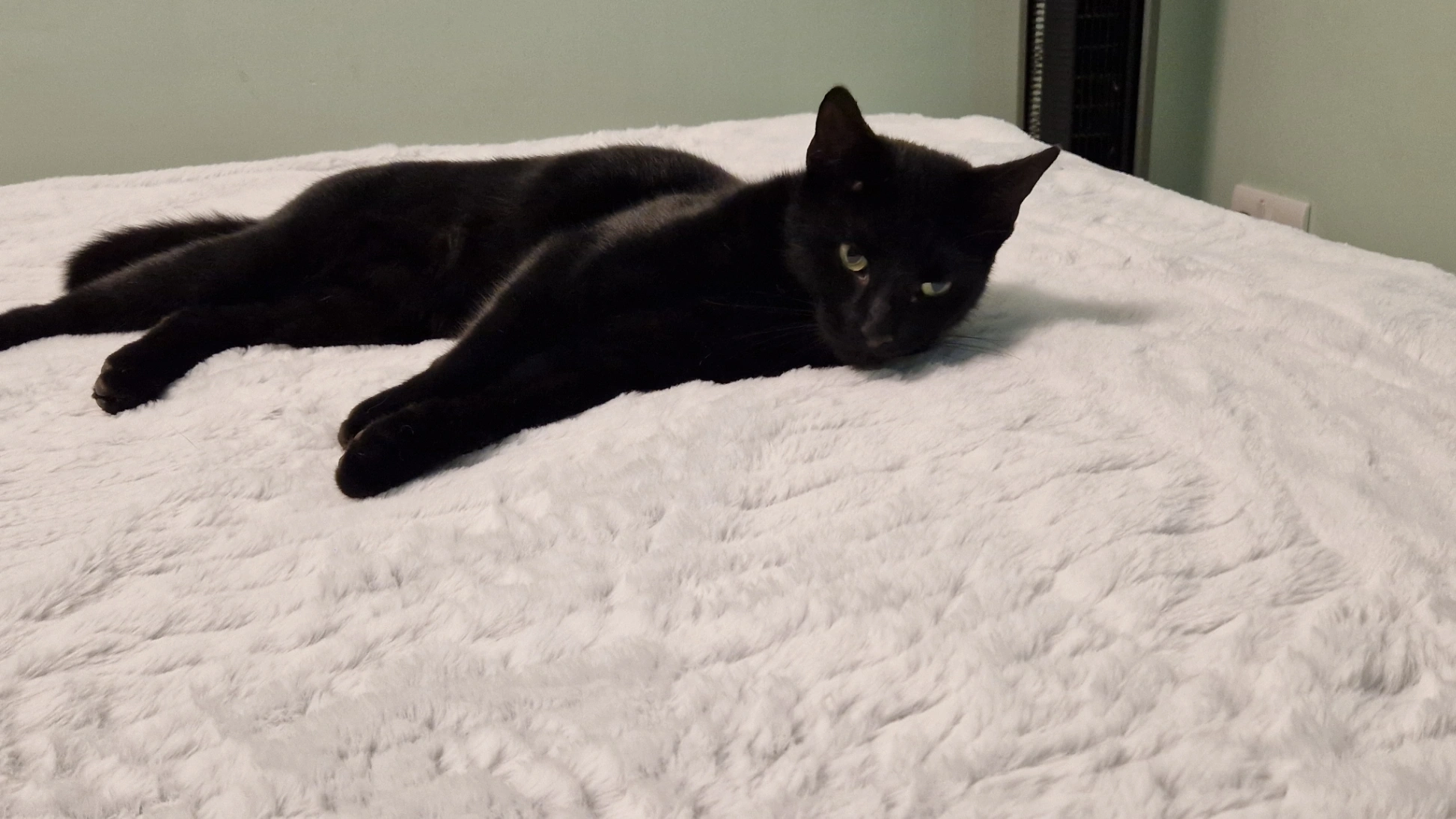 Apollo - Westray, Hemel Hempstead