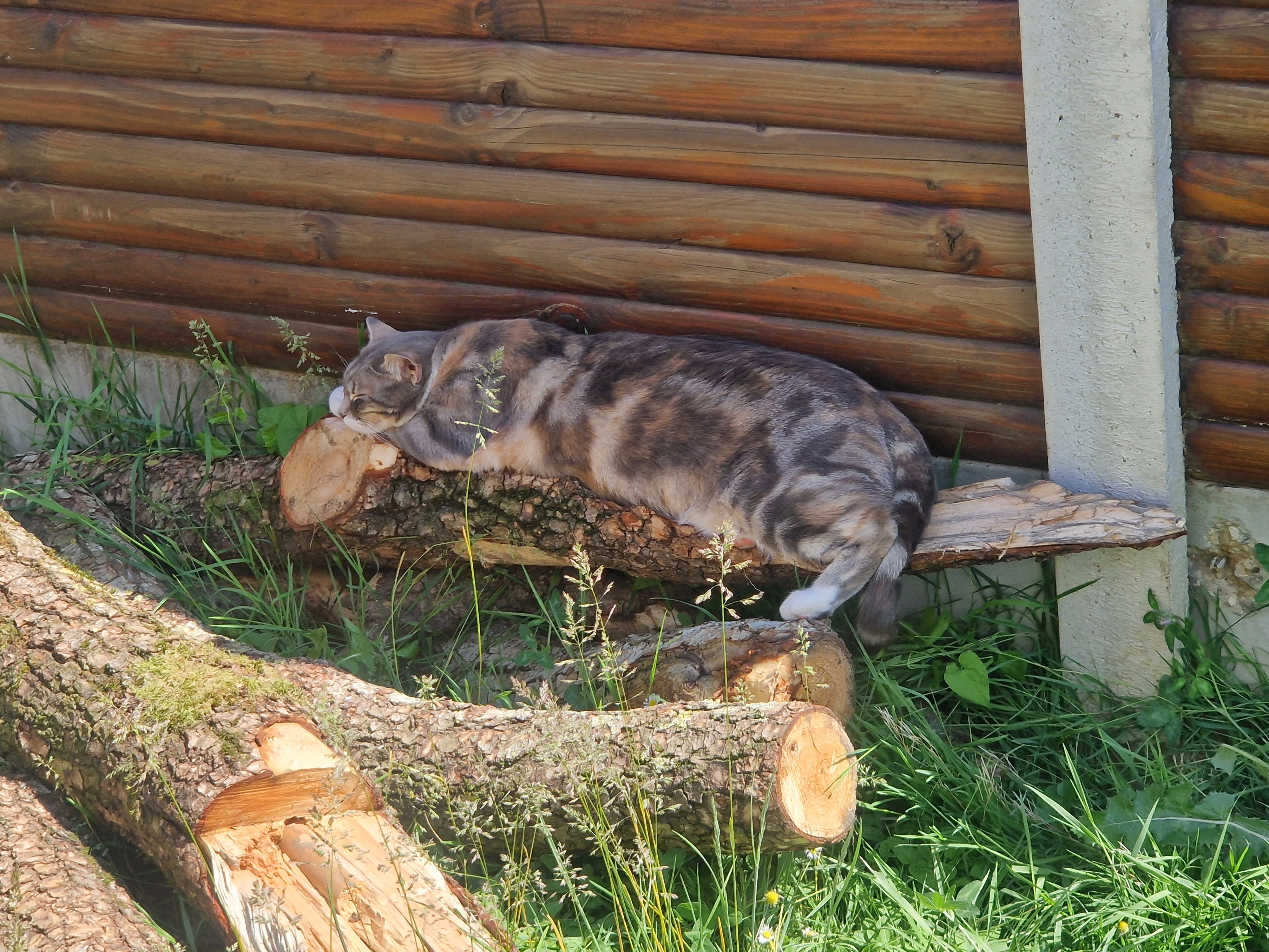 CHIPPY  -  Rue de Verdun, Lardy