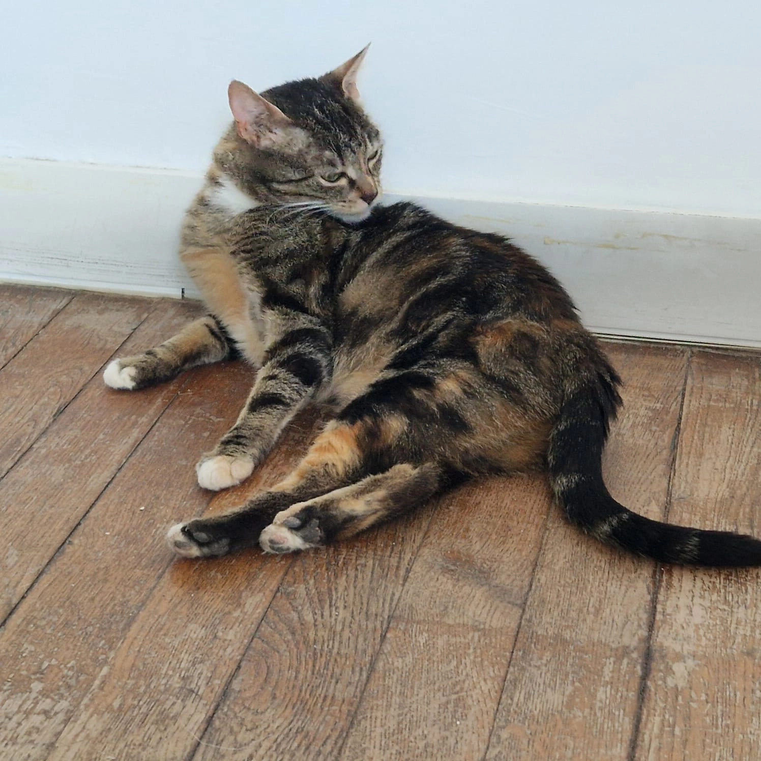 Hanoï  - 37 Boulevard Aristide Briand, Champigny-sur-Marne