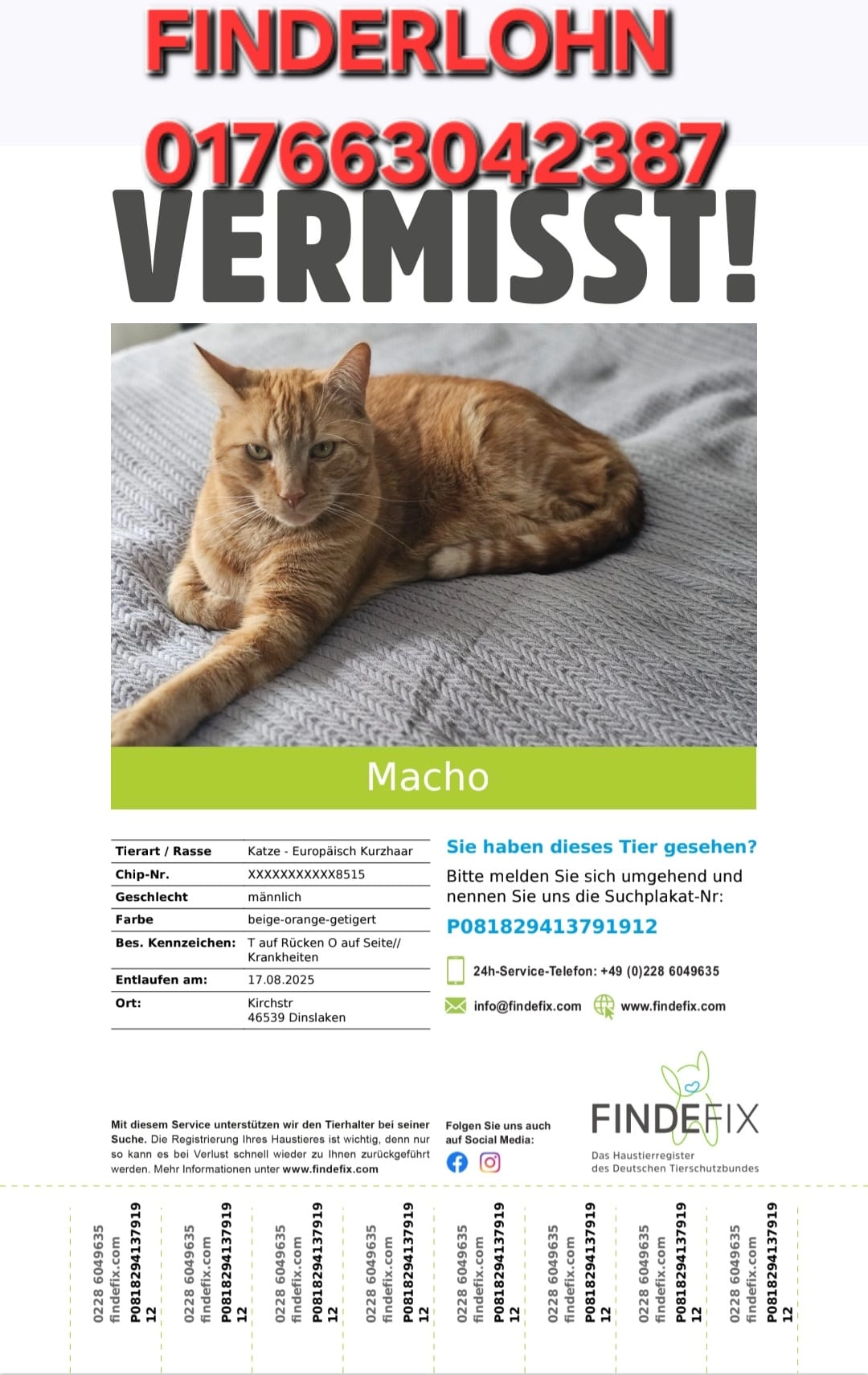 Macho - Taubenstraße, Dinslaken