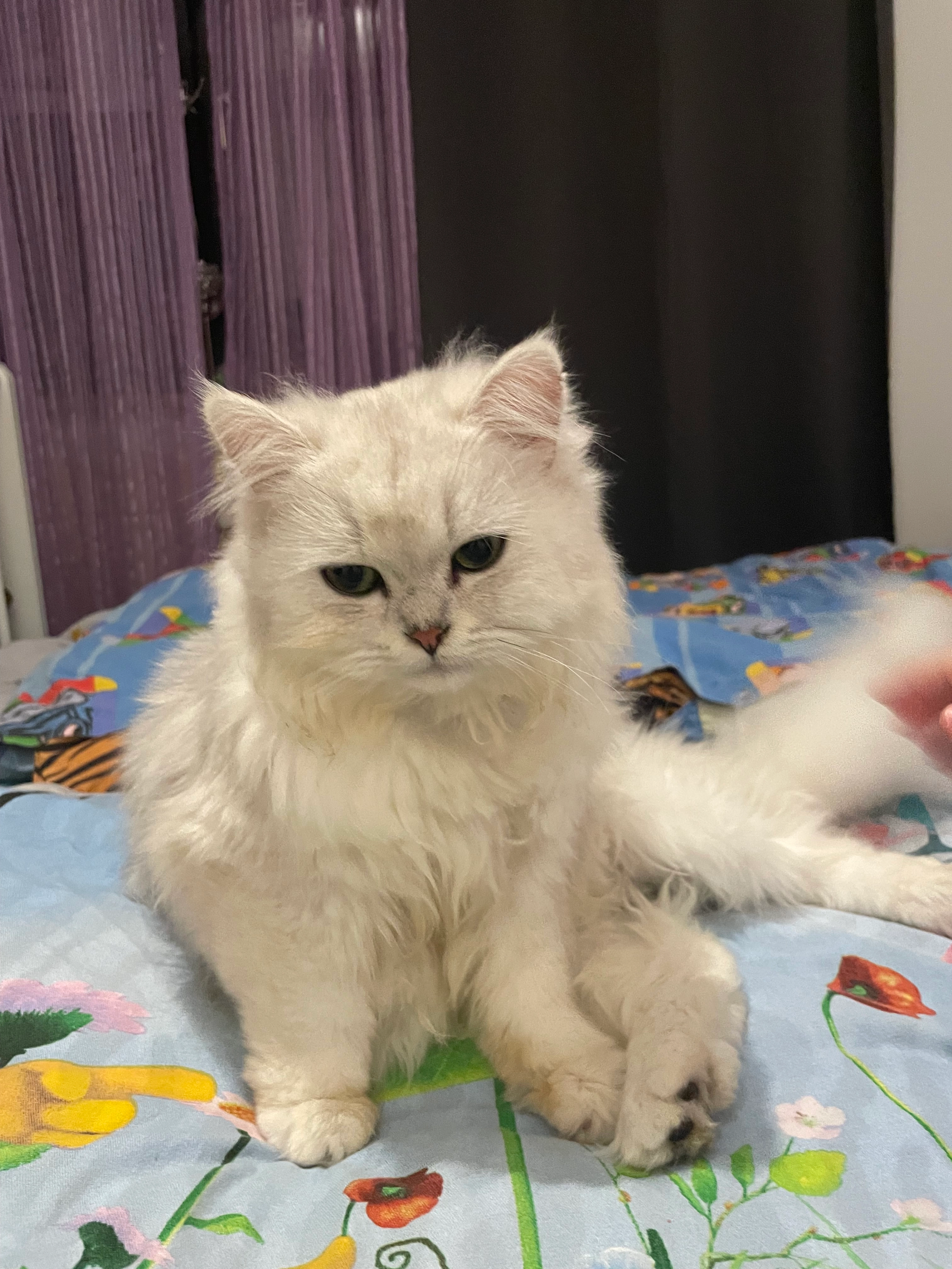 Silva - Wolkersdorfer Hauptstraße, Schwabach