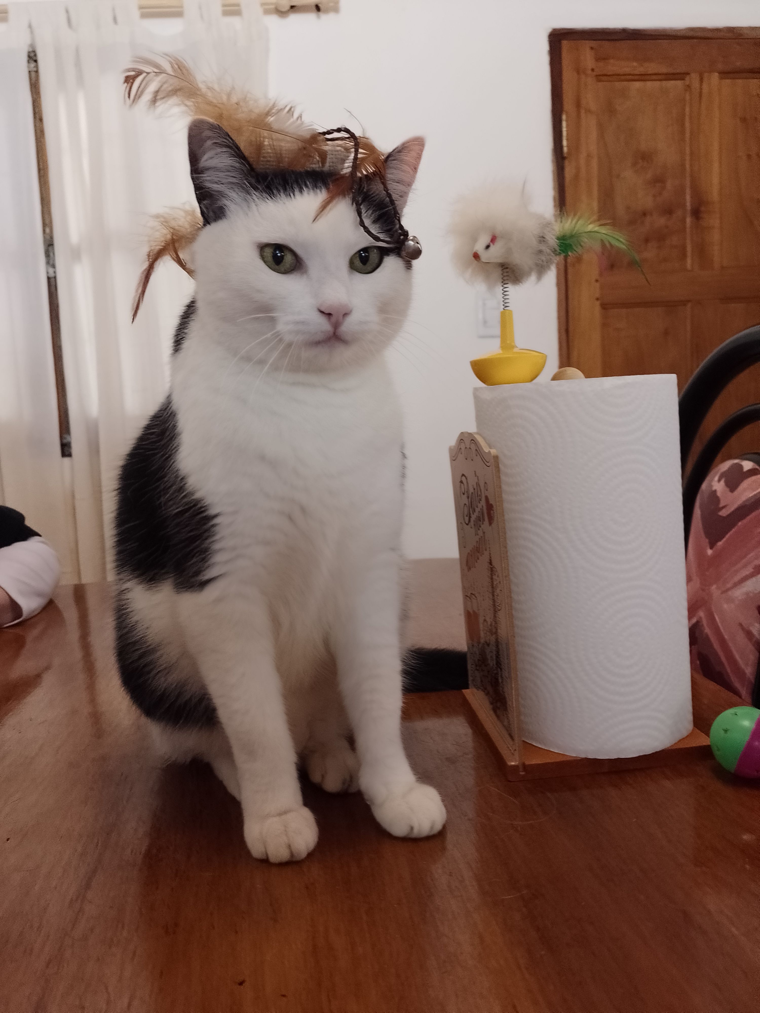 Buda - 42 Le Pré Blanc, Châteaubourg