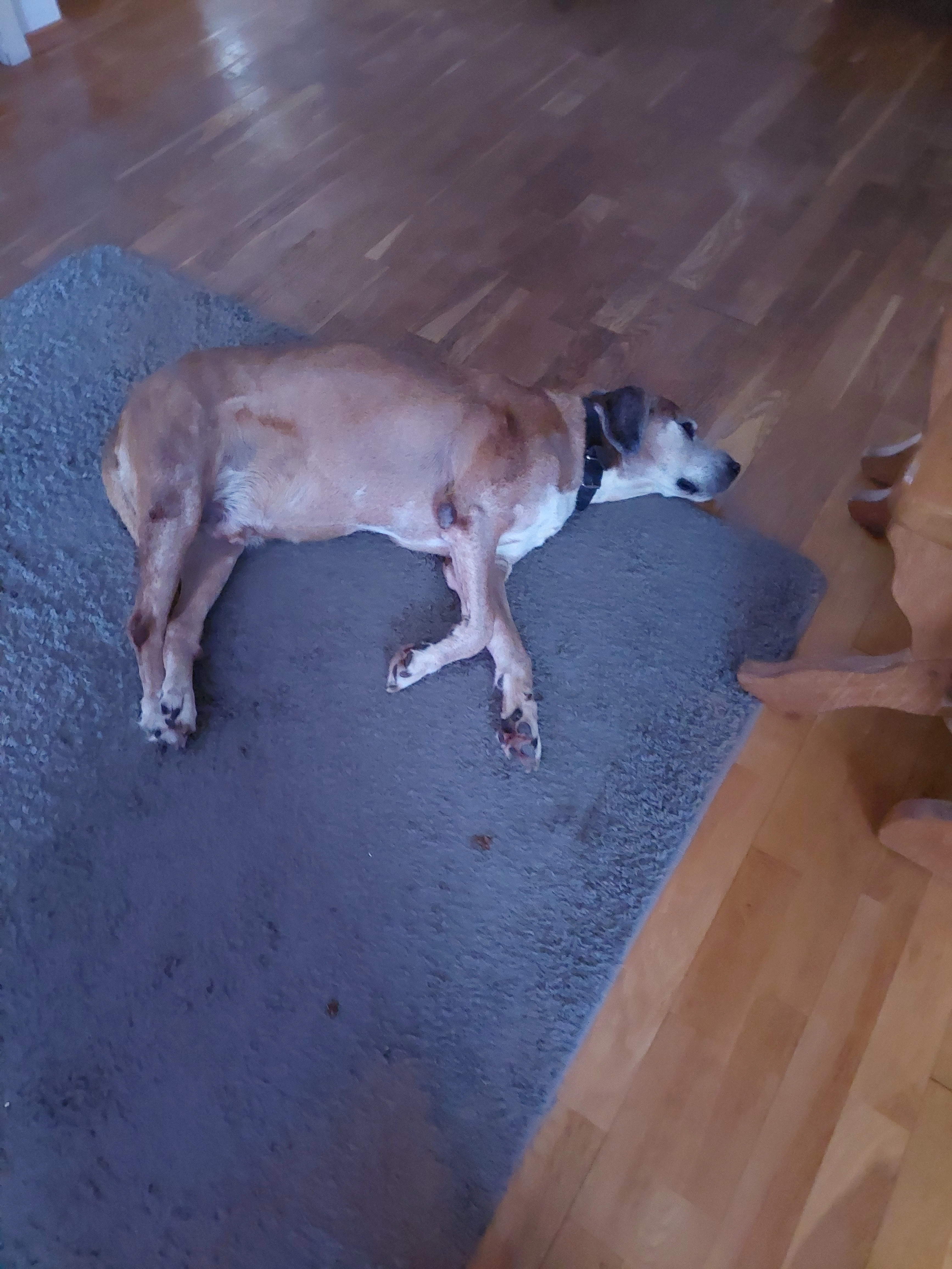 Valdi - Dr. Lovinkstraat, Middenmeer