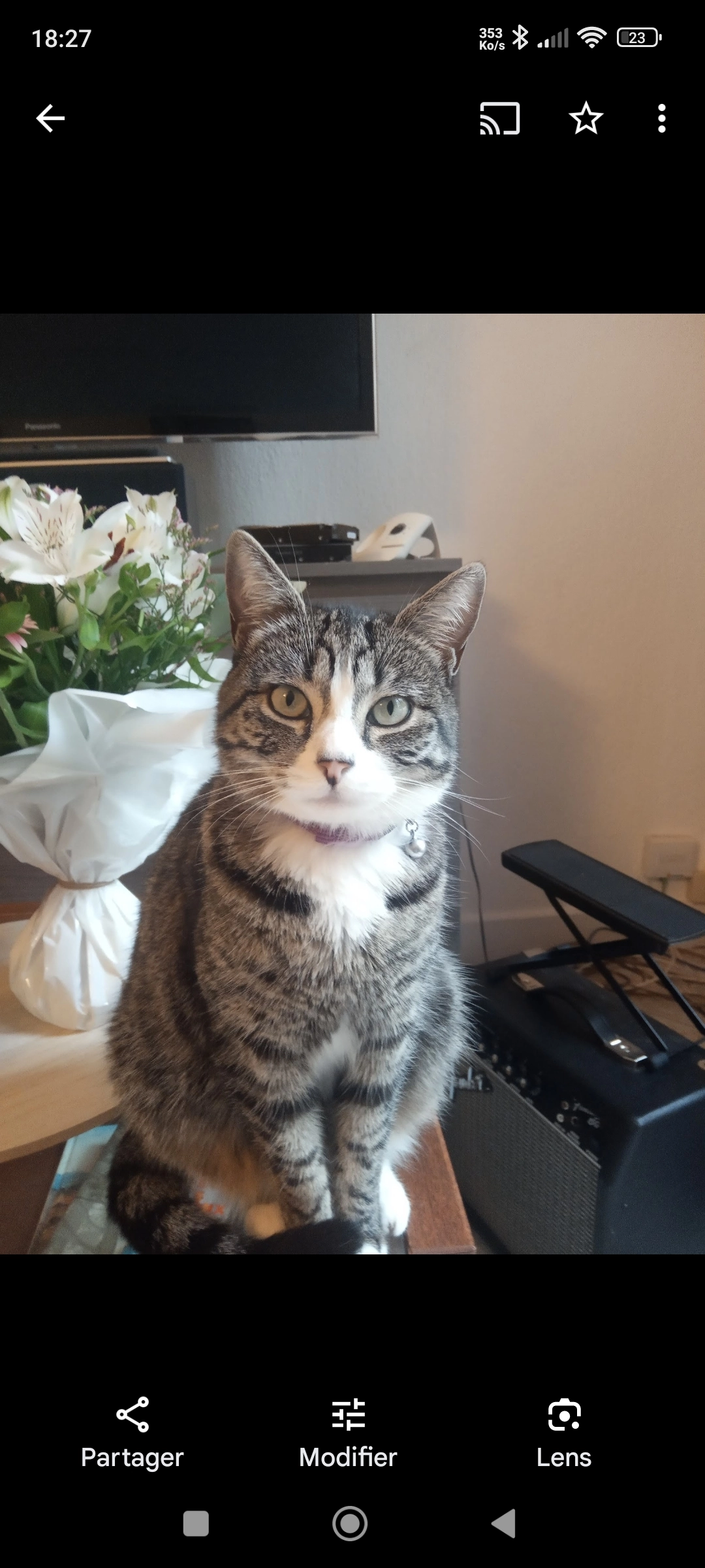 Victoria  - 13 Rue Antoine Calbet, Agen