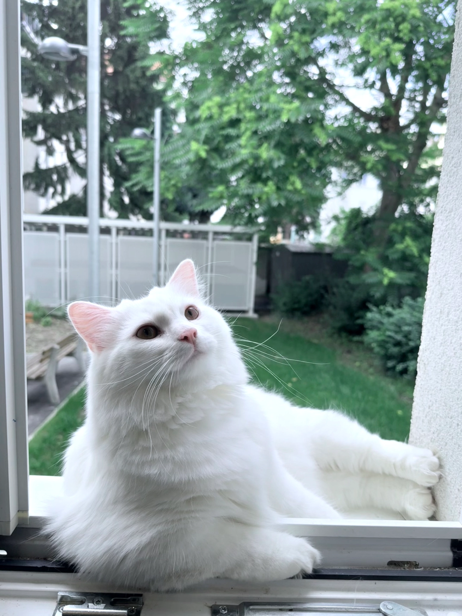 Smokey - Gebauergasse, Wien