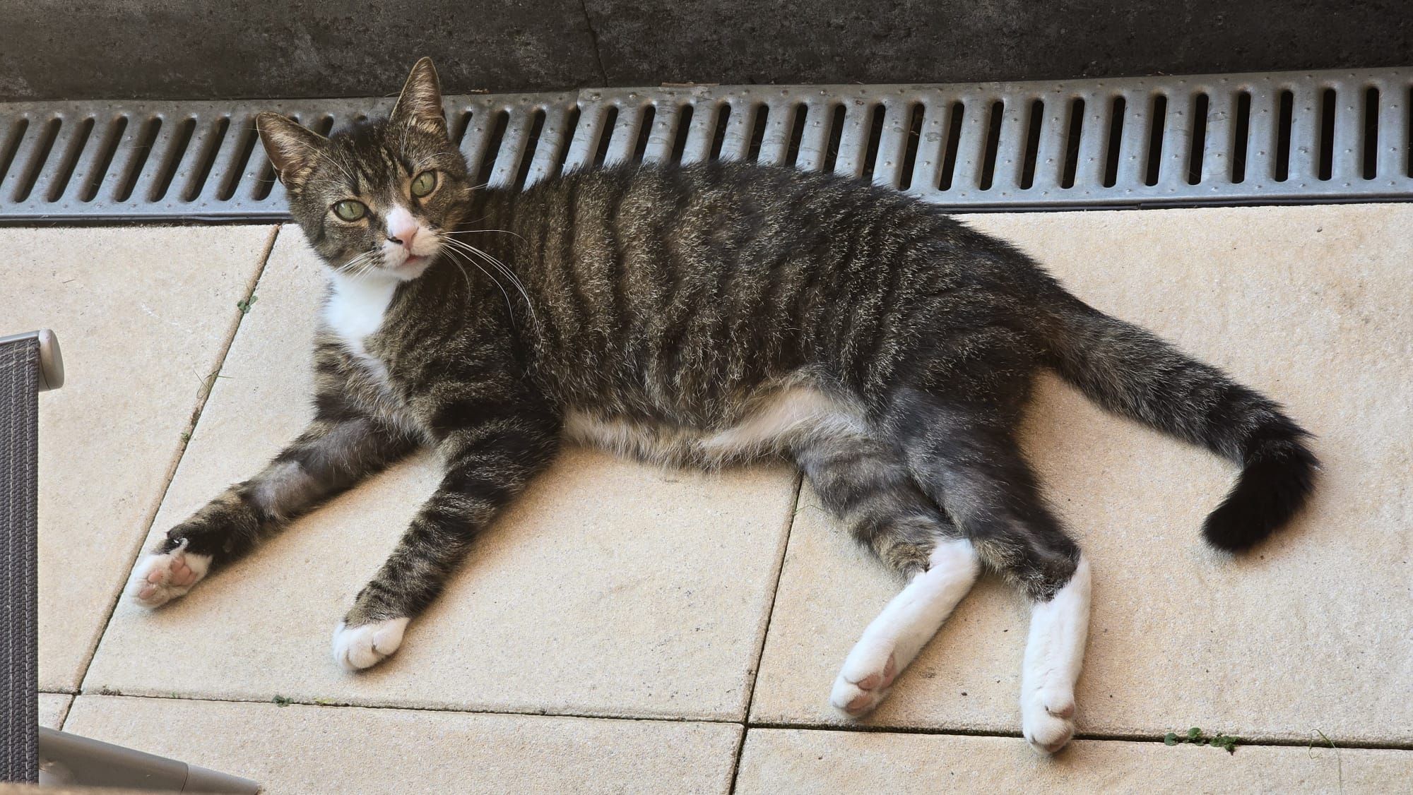 Kasimir - Am Römerlager, Haltern am See