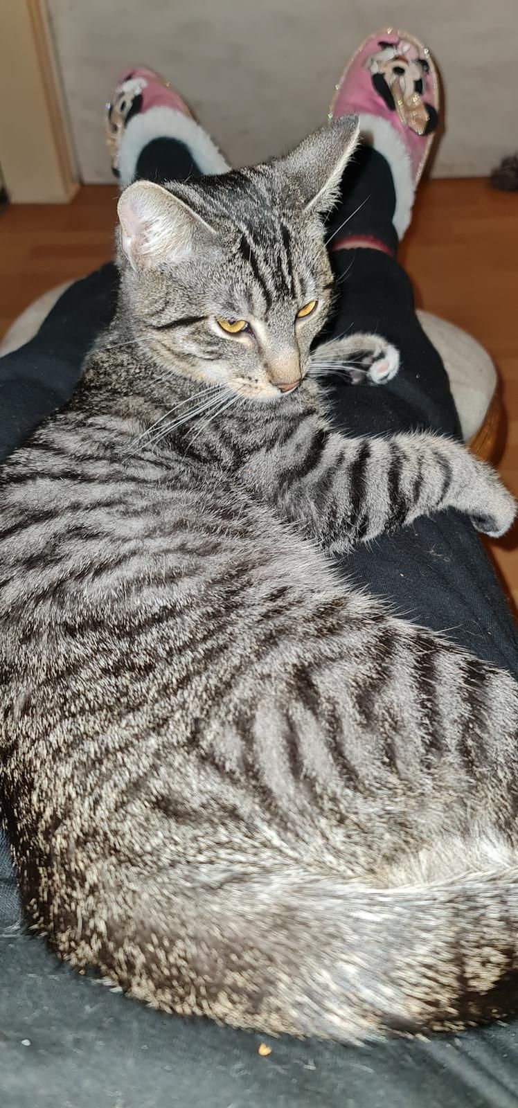 Simba - Hauptstraße, Elmstein