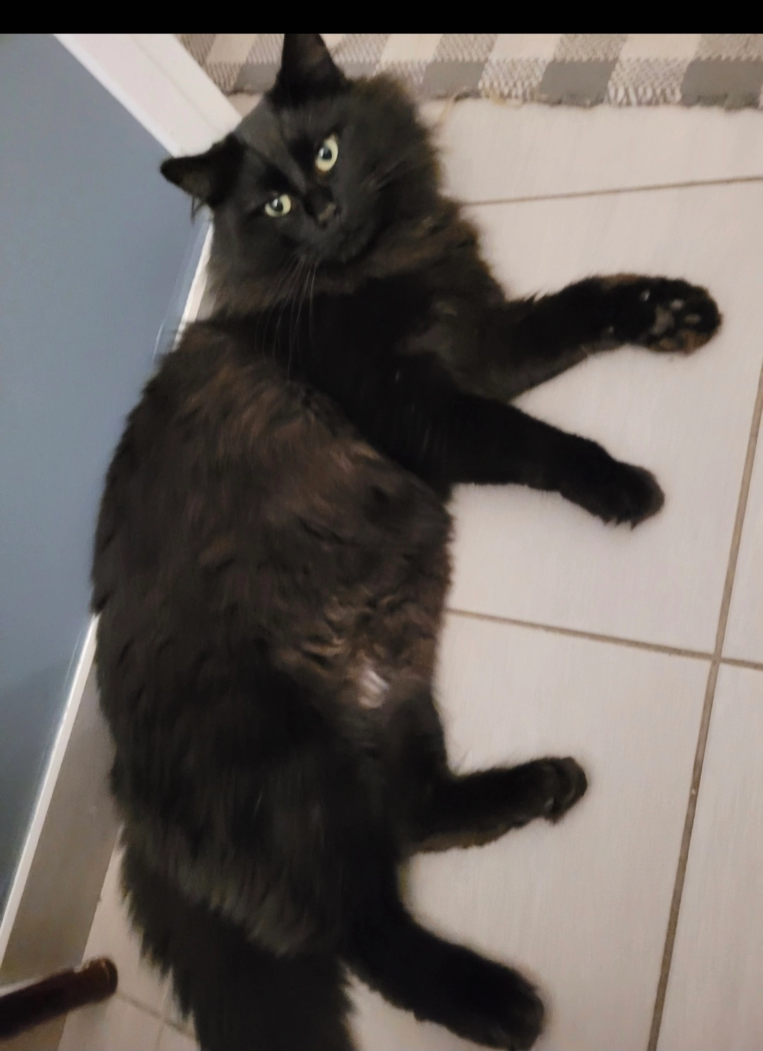 Minibus - Rue Achille Andris, Somain