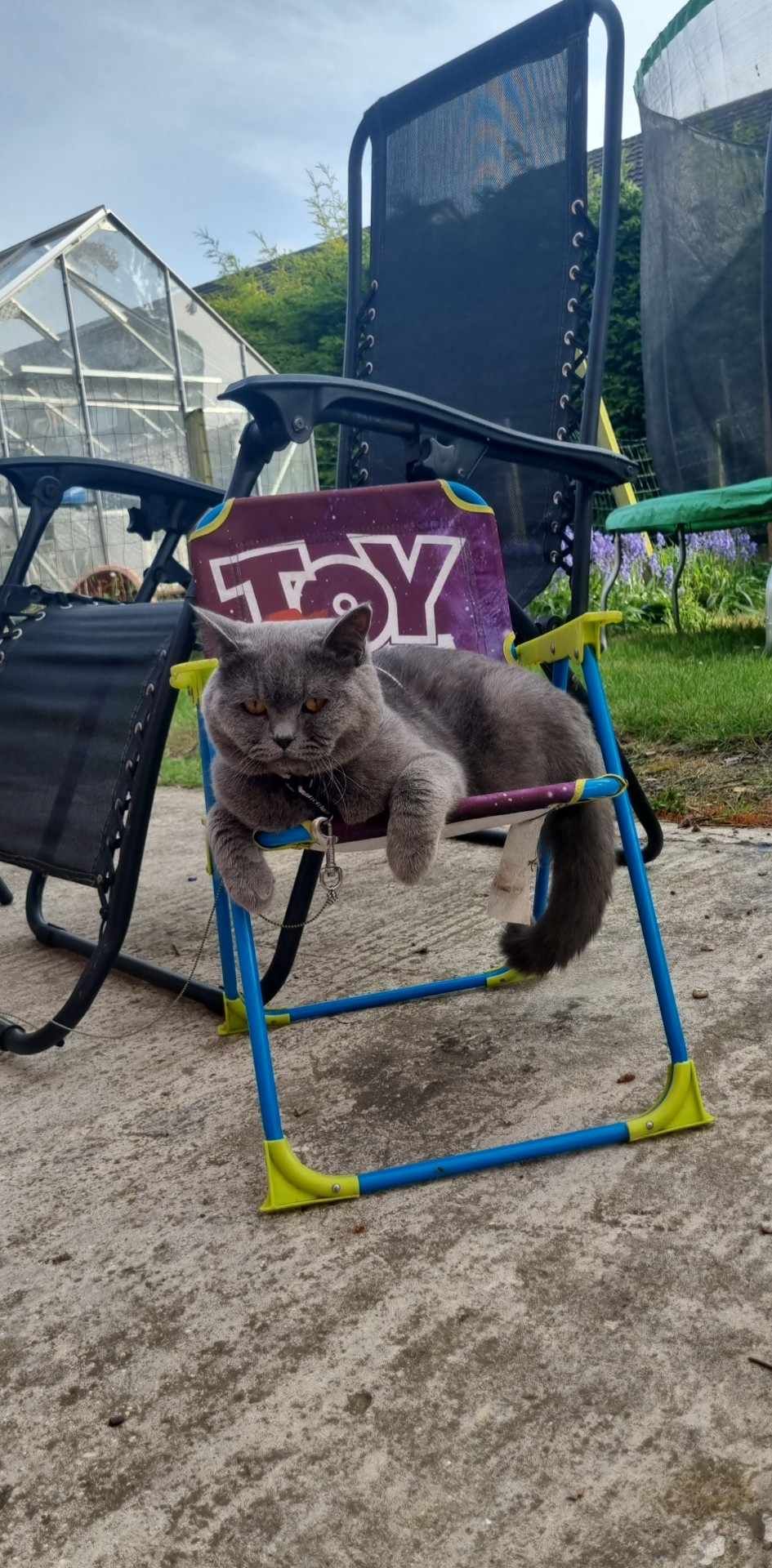 Mike - PE13 3, Wisbech