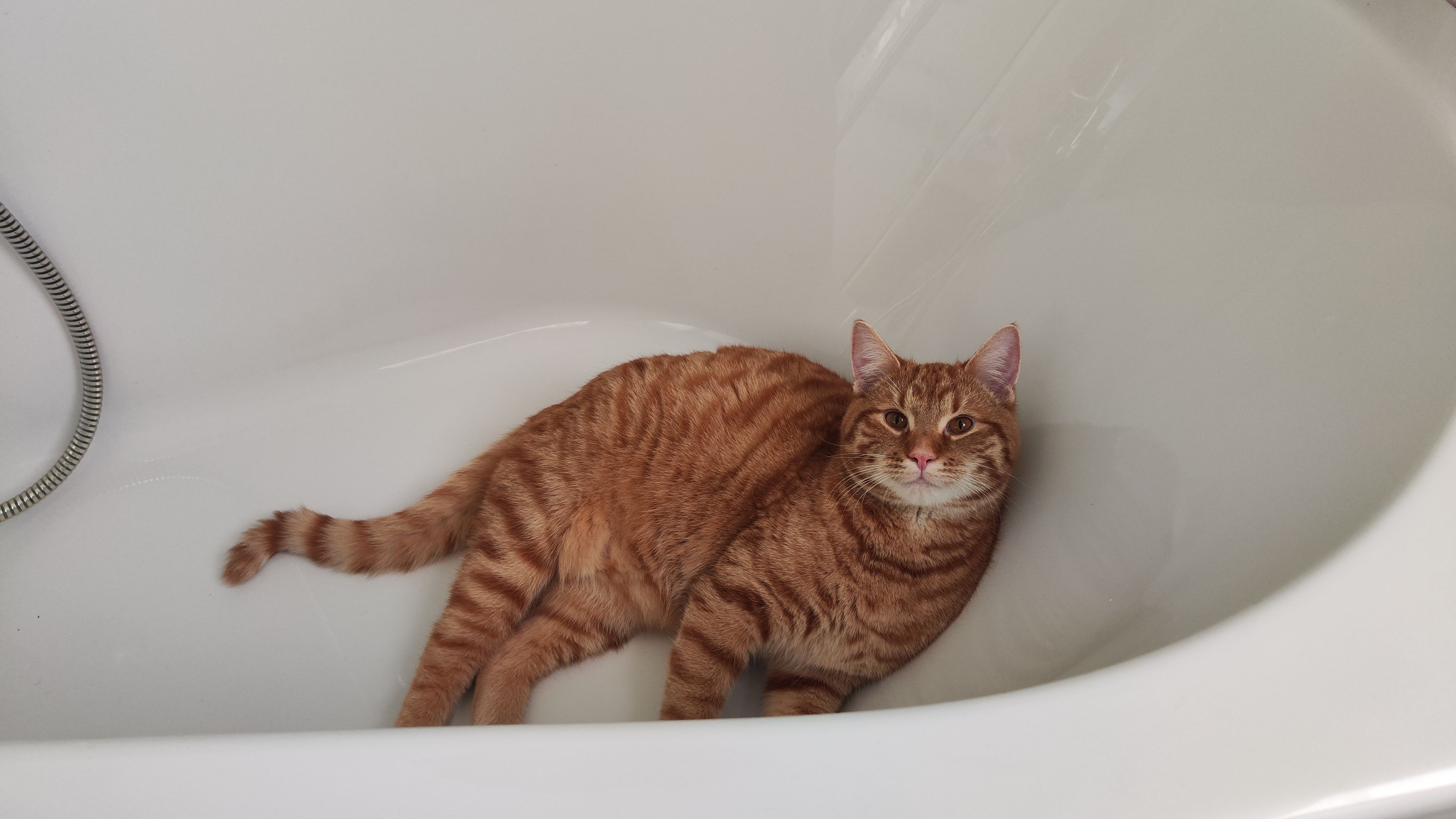 Fridolin - An der Wendeschleife, Leipzig