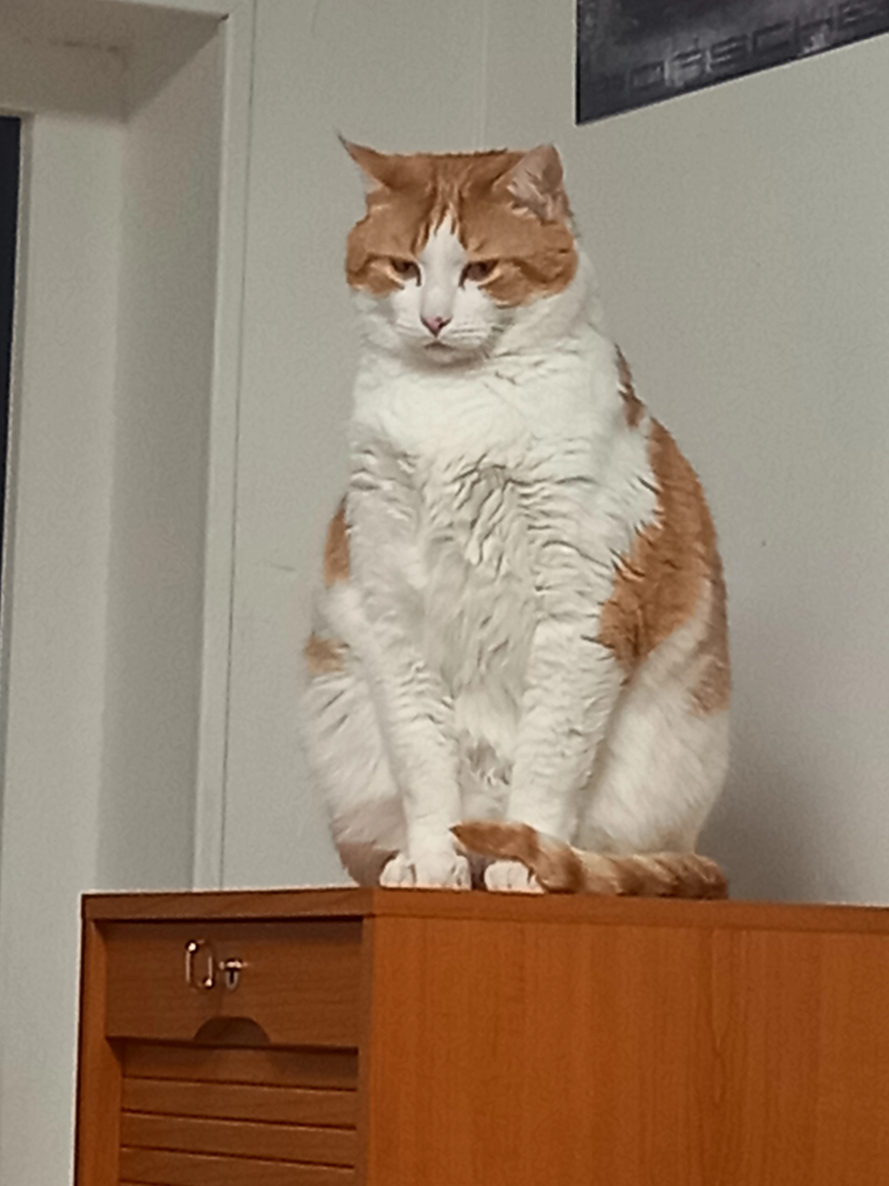 Fripouille  - 4 Place Charles de Gaulle, Bolbec