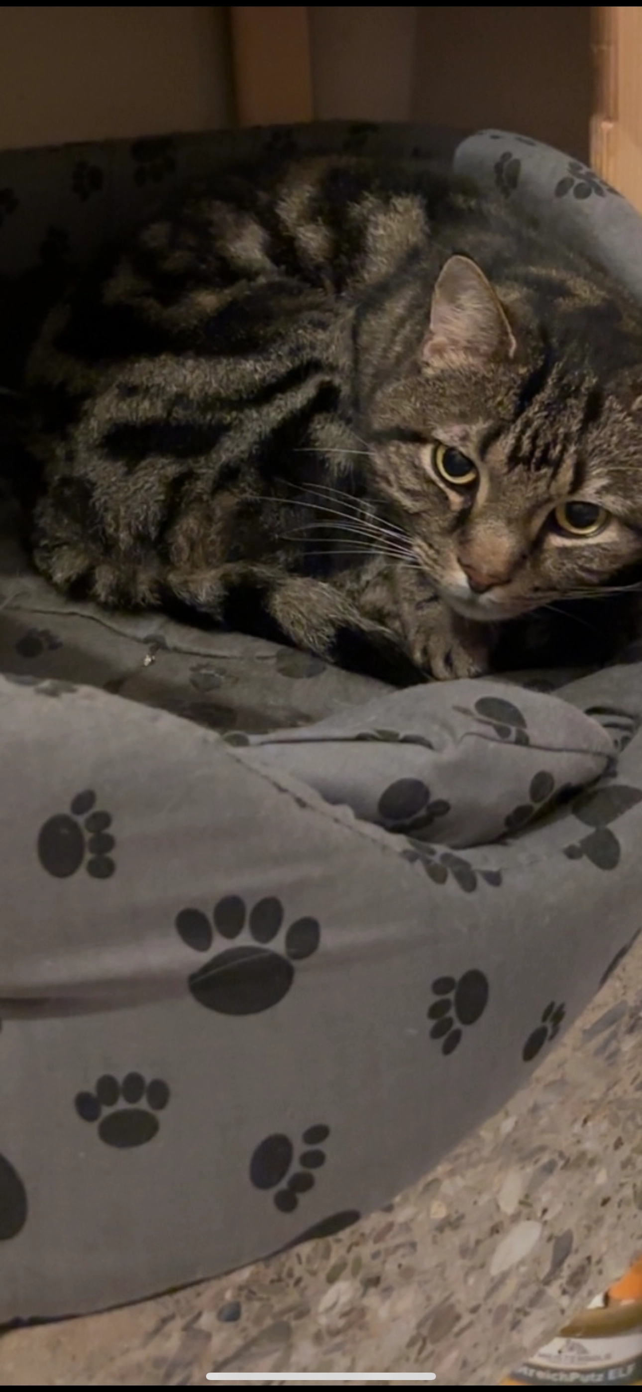 Sammy - Hauptstraße, Kirchhundem