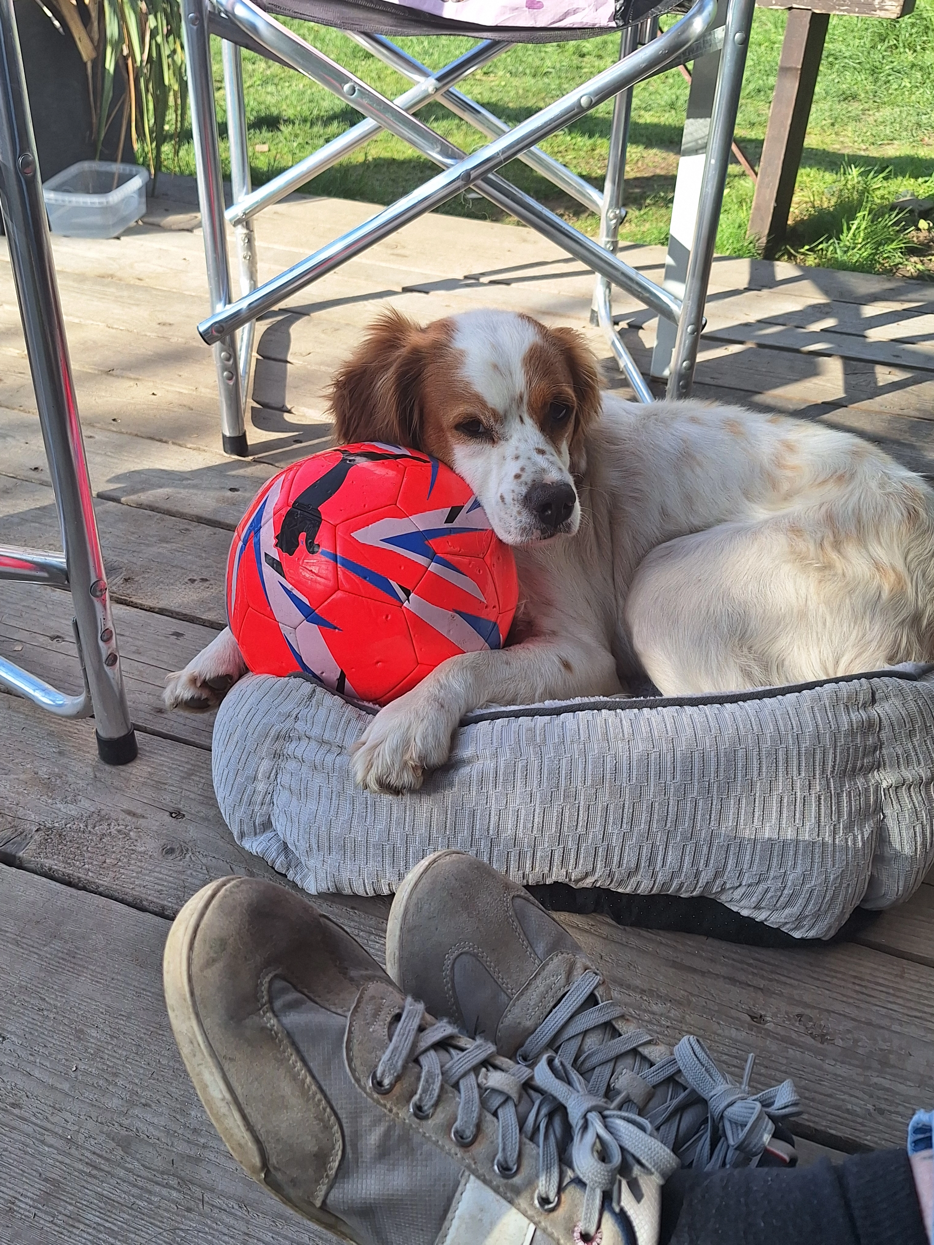 henry - Franz-Samwald-Straße, Ternitz