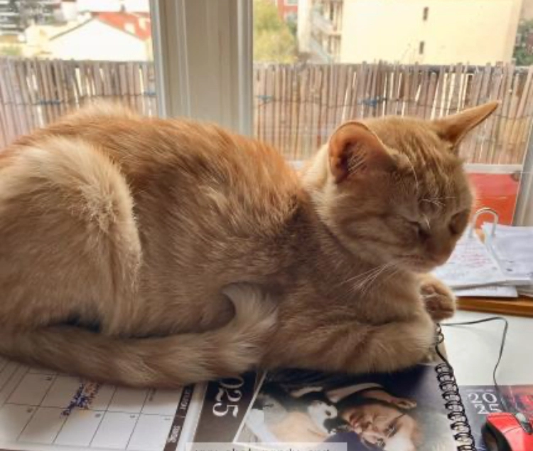 Simbad - Forêt de Breteuil, Les Baux-de-Breteuil