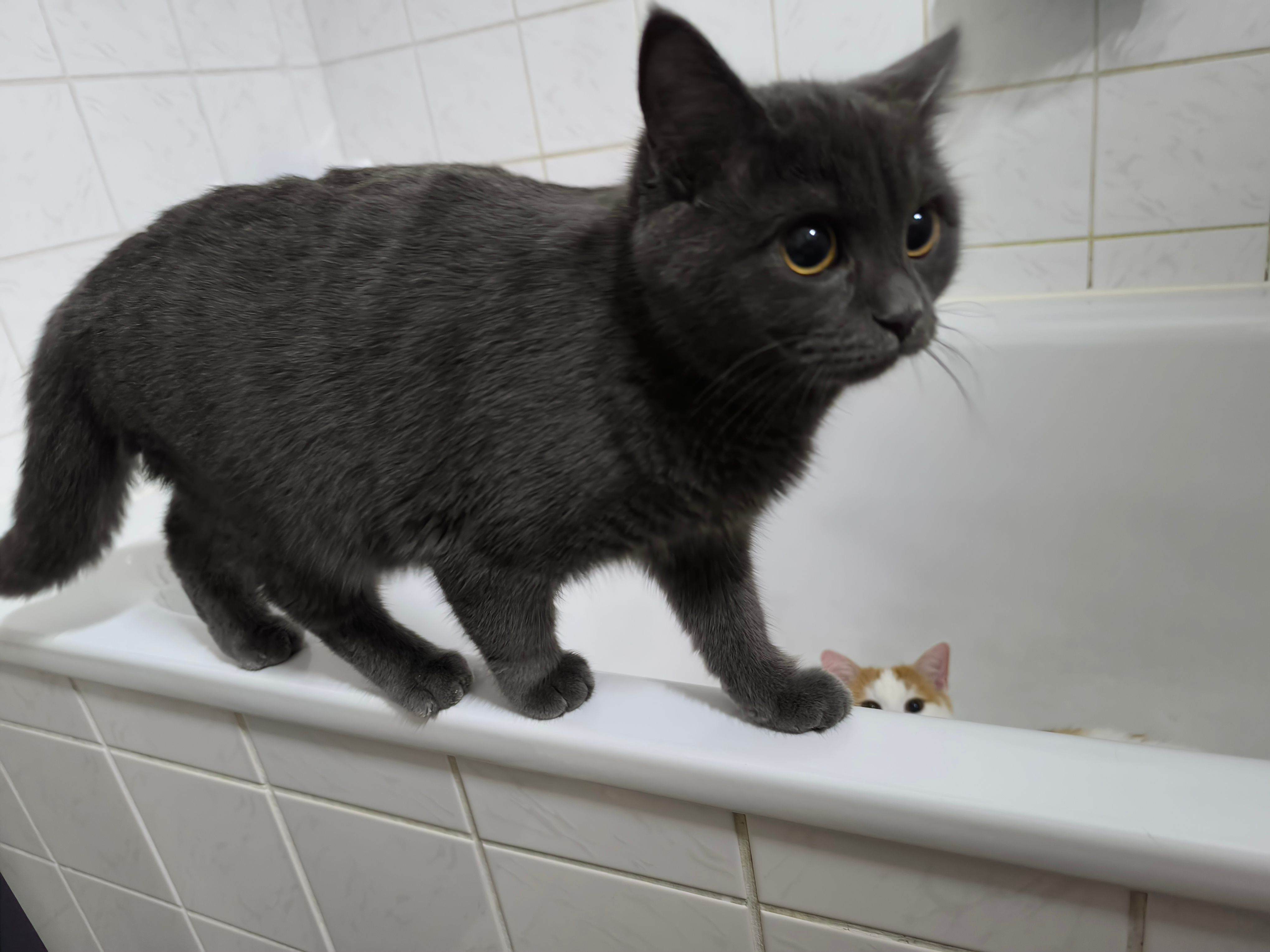 Minka - Josef-Habel-Siedlung, Stadl-Paura