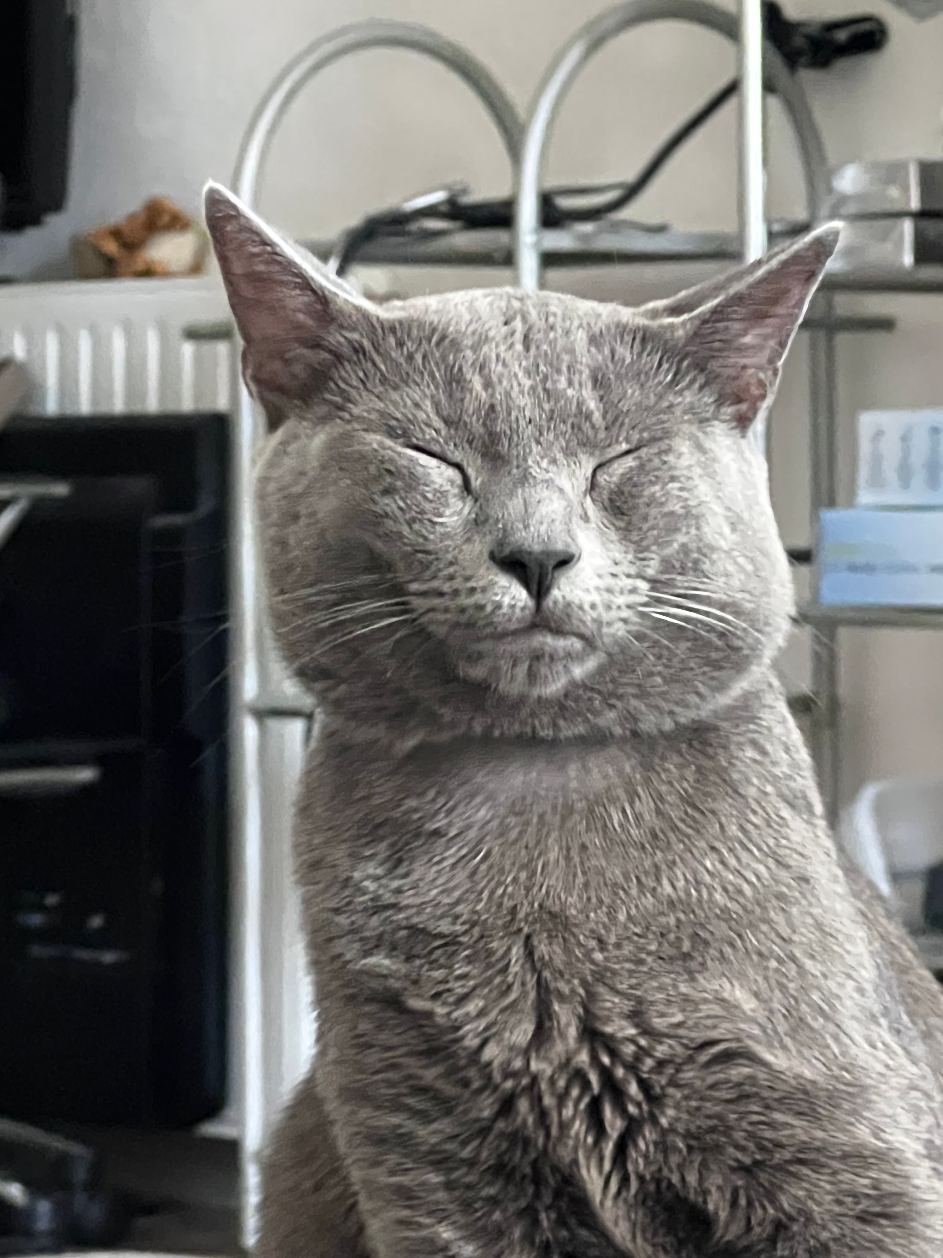 Kiro - Rue Lakanal, Pamiers