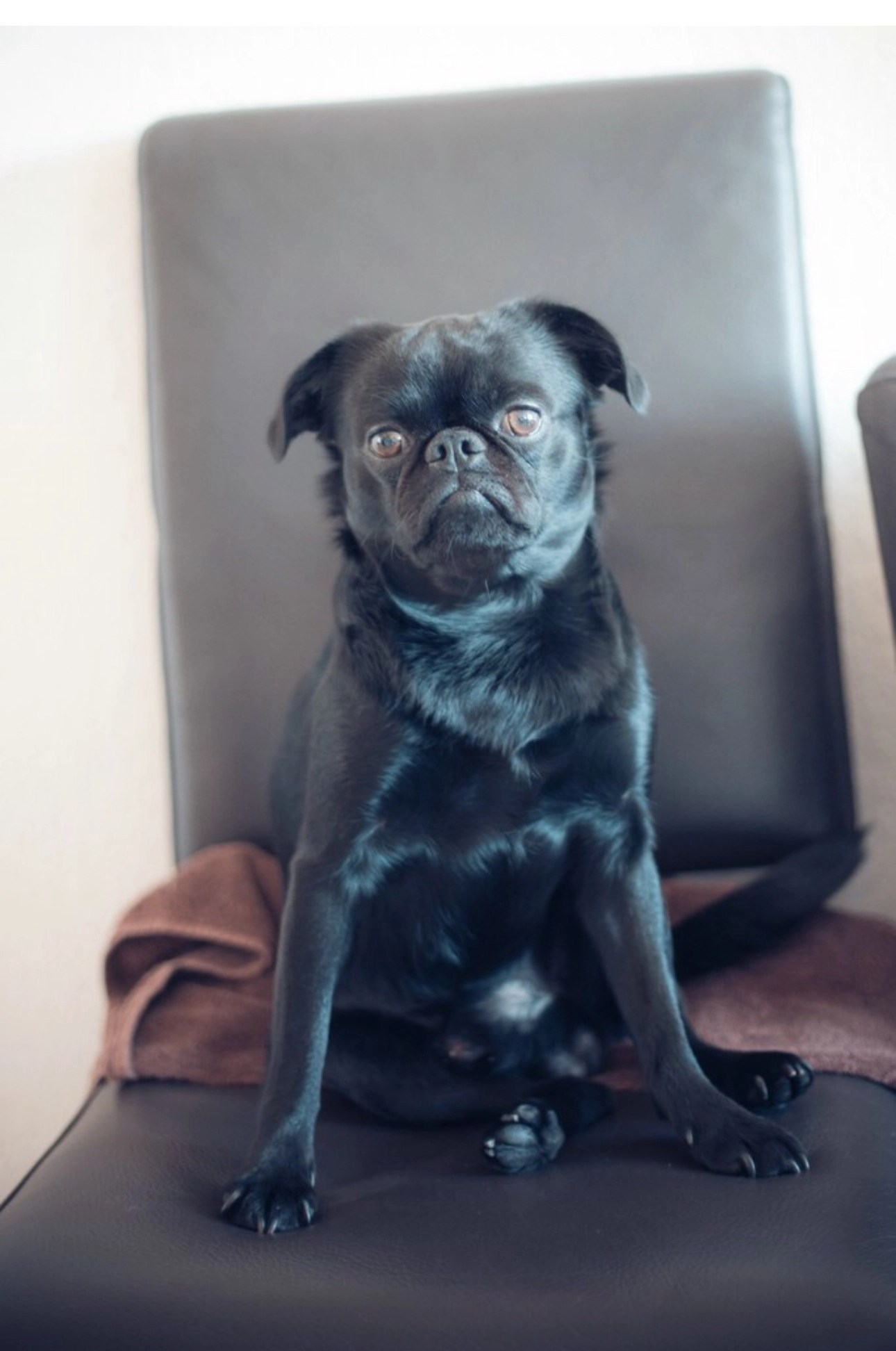 Carli - Sehningen 22, Bad Boll