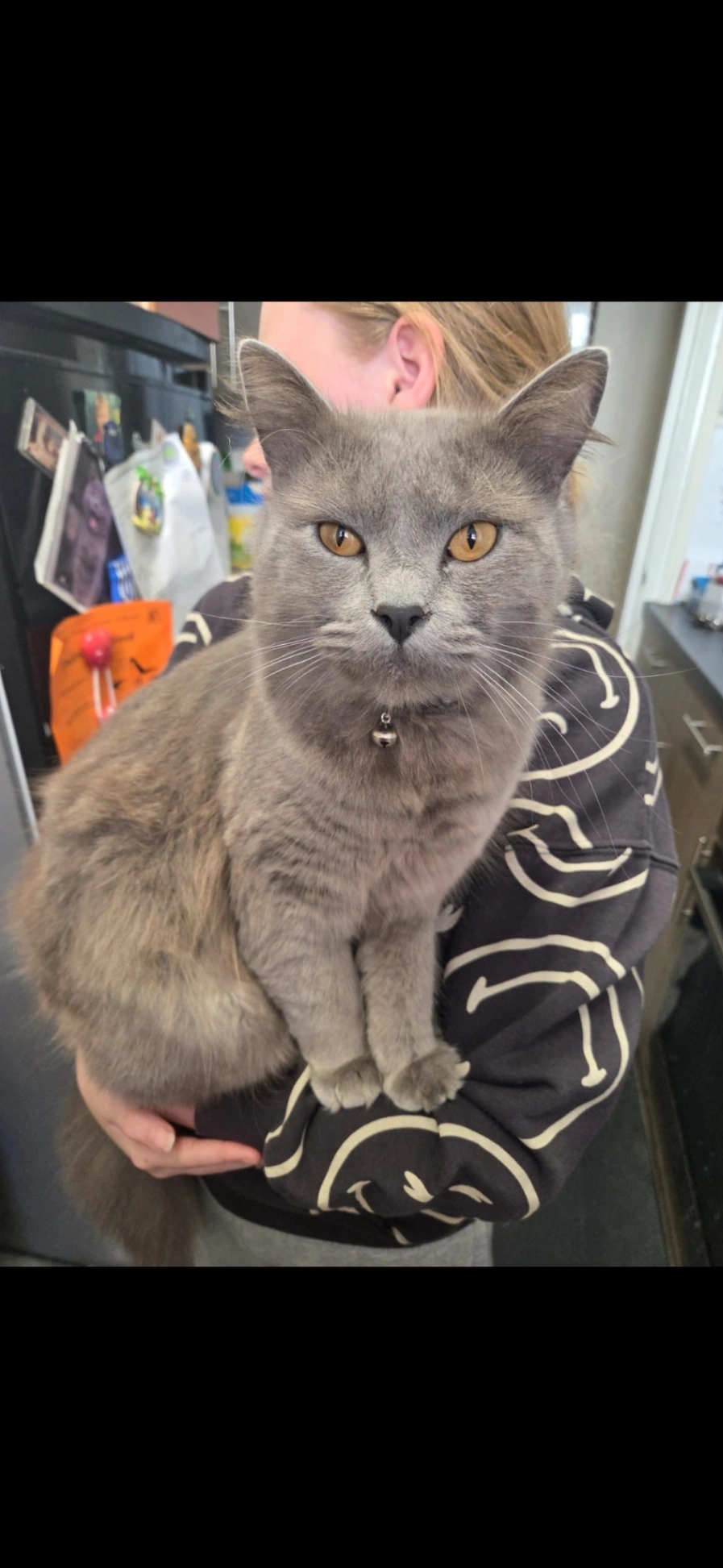 Tiny - Sirdar Road, Mitcham