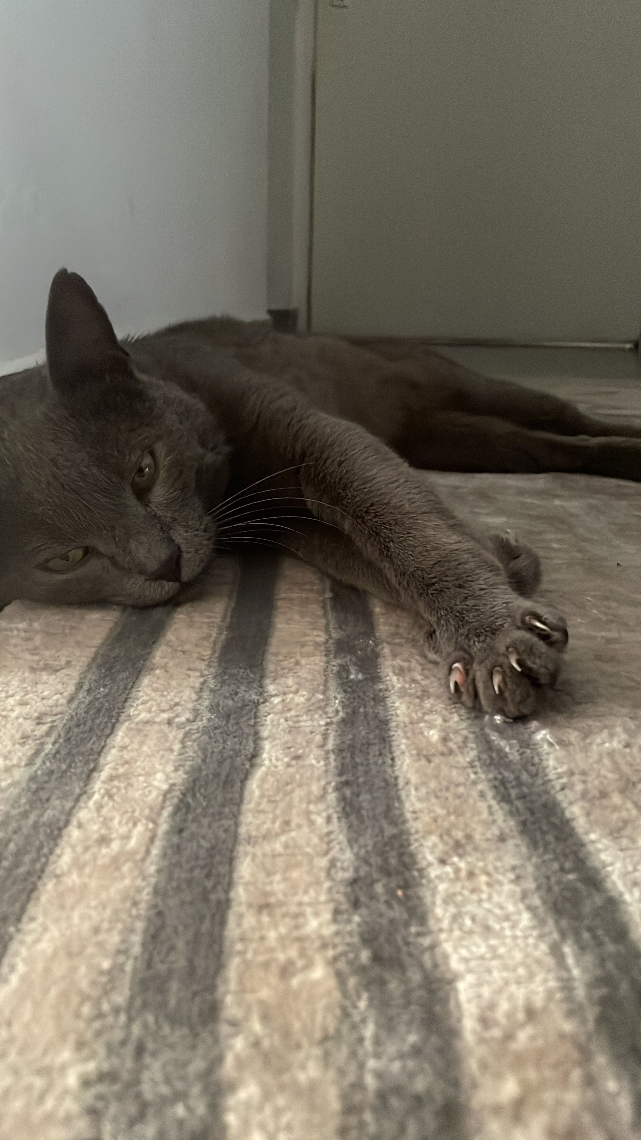 Esteban - Kleiststraße, Emmendingen