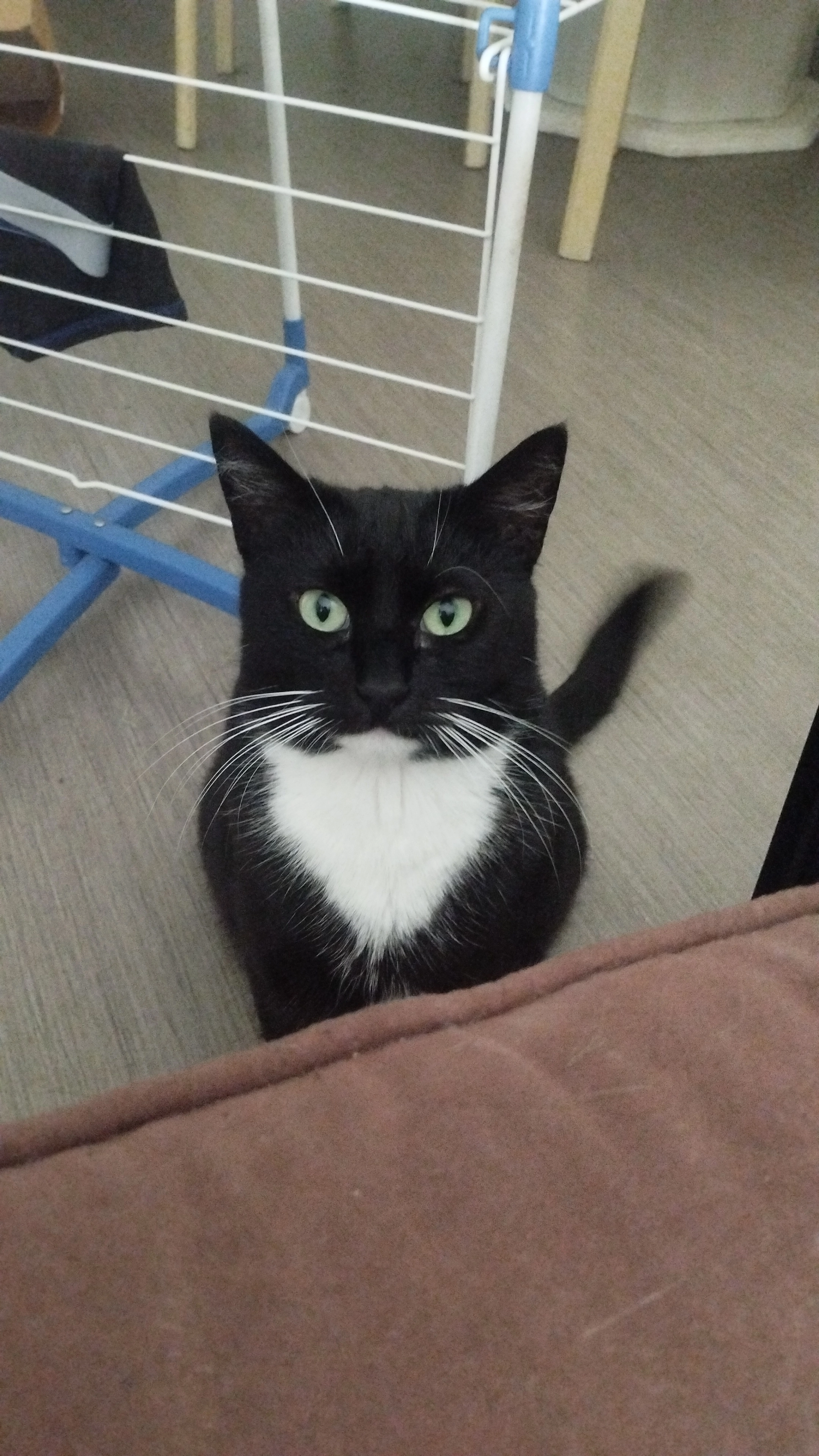 Yuki - Allée Des Cerisiers, Saint-Pierre-d'Irube