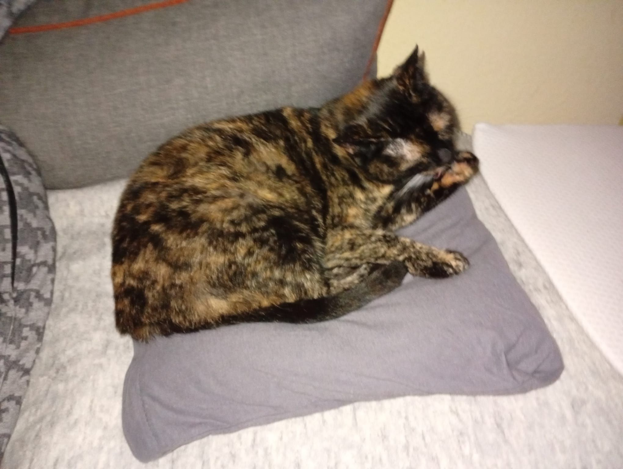 Emmi - Marktstraße, Kirrweiler