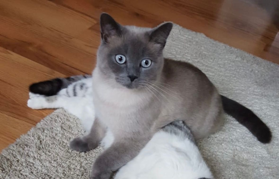 Butzi - Kapitän-Kaempff-Weg, Teterow