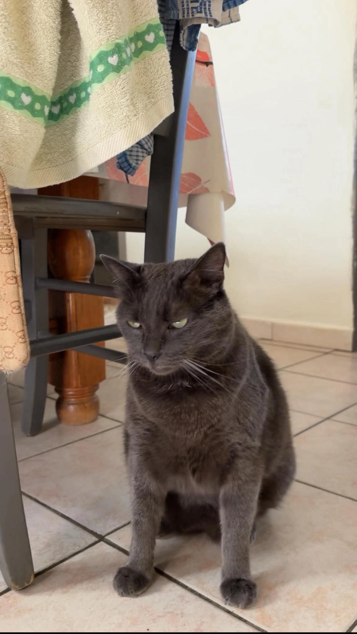 Bouboute  - Rue de l'Ecole Moderne 81, Soignies